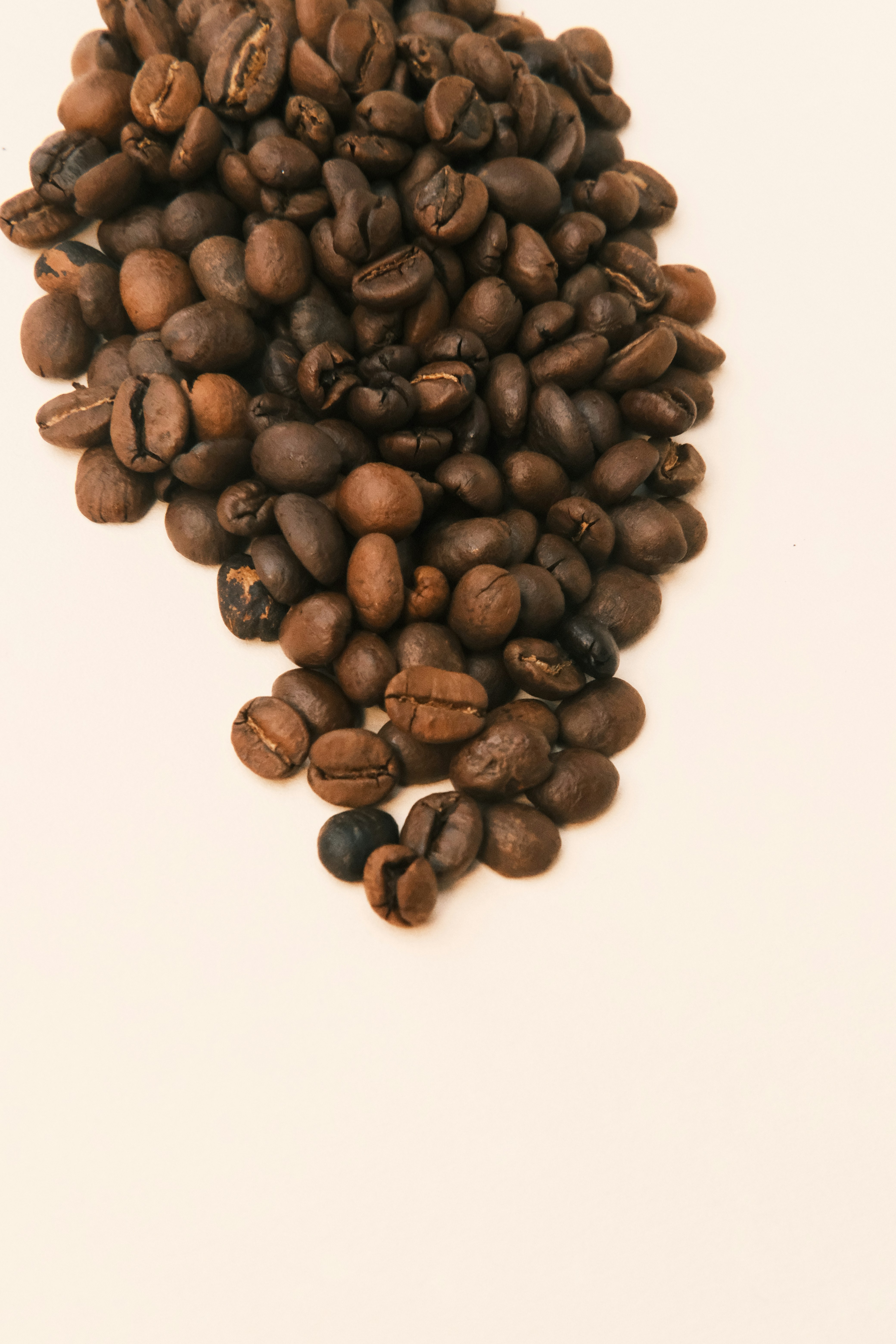 photo-1736813133035-6baf4762fd3d?ixid=M3wxMjA3fDB8MXxzZWFyY2h8MTB8fGJlc3QlMjBjb2ZmZWUlMjBiZWFuc3xlbnwwfHx8fDE3NjQ1MjkxODF8MA\u0026ixlib=rb-4.1.0