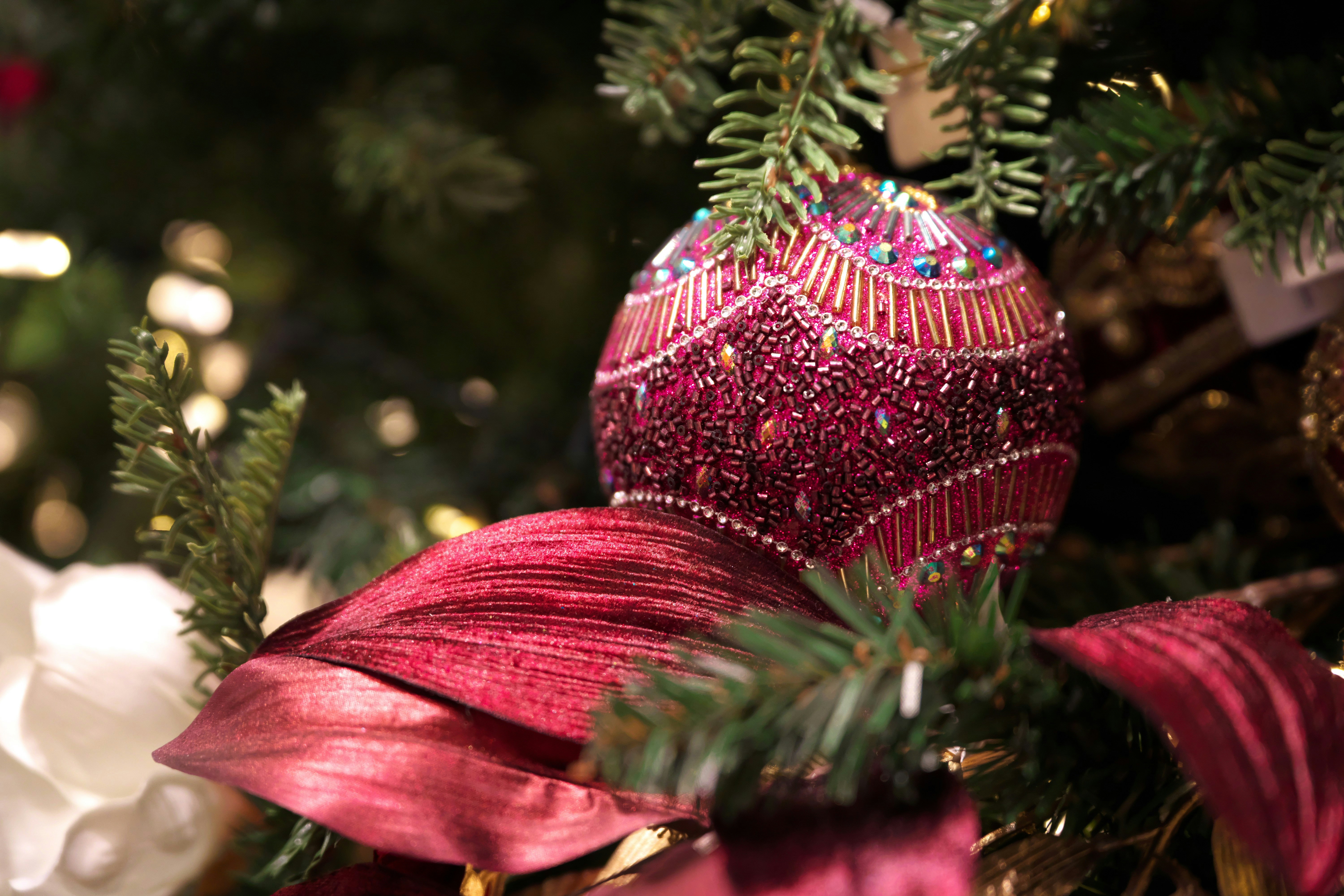 A close up of a christmas ornament on a tree photo – Free Galeria ...