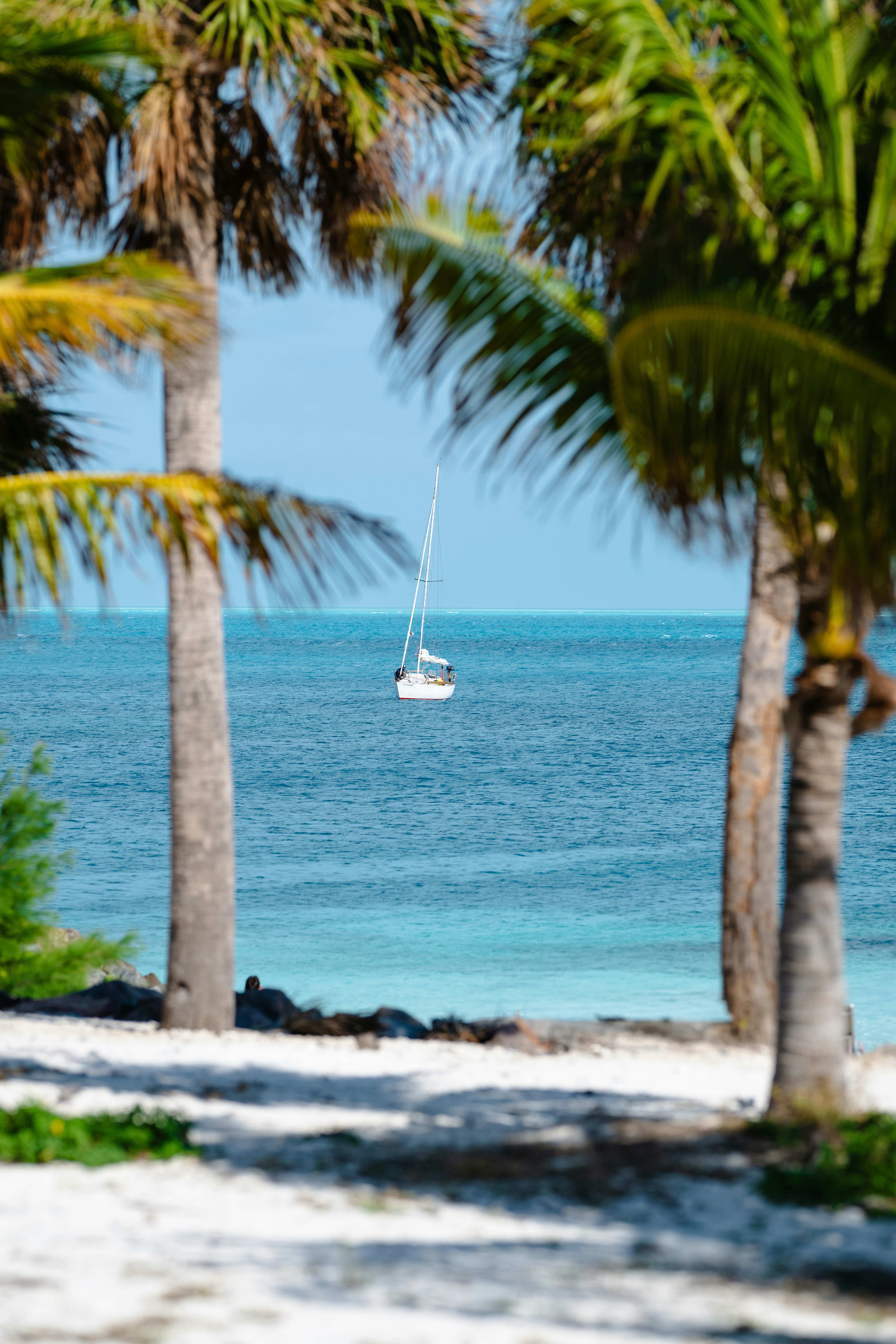 Photo by ryangrewell