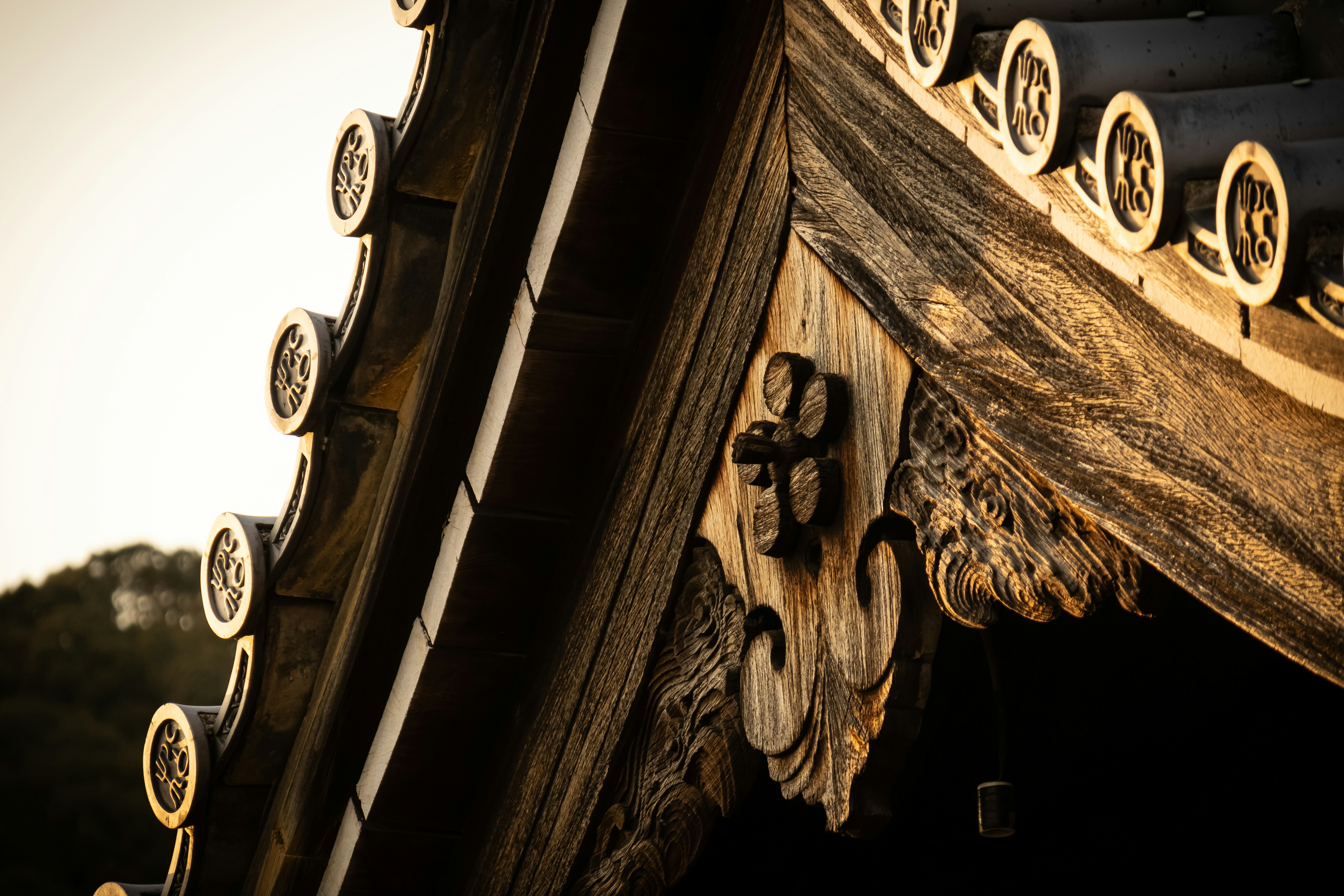 Photo by horseratbros