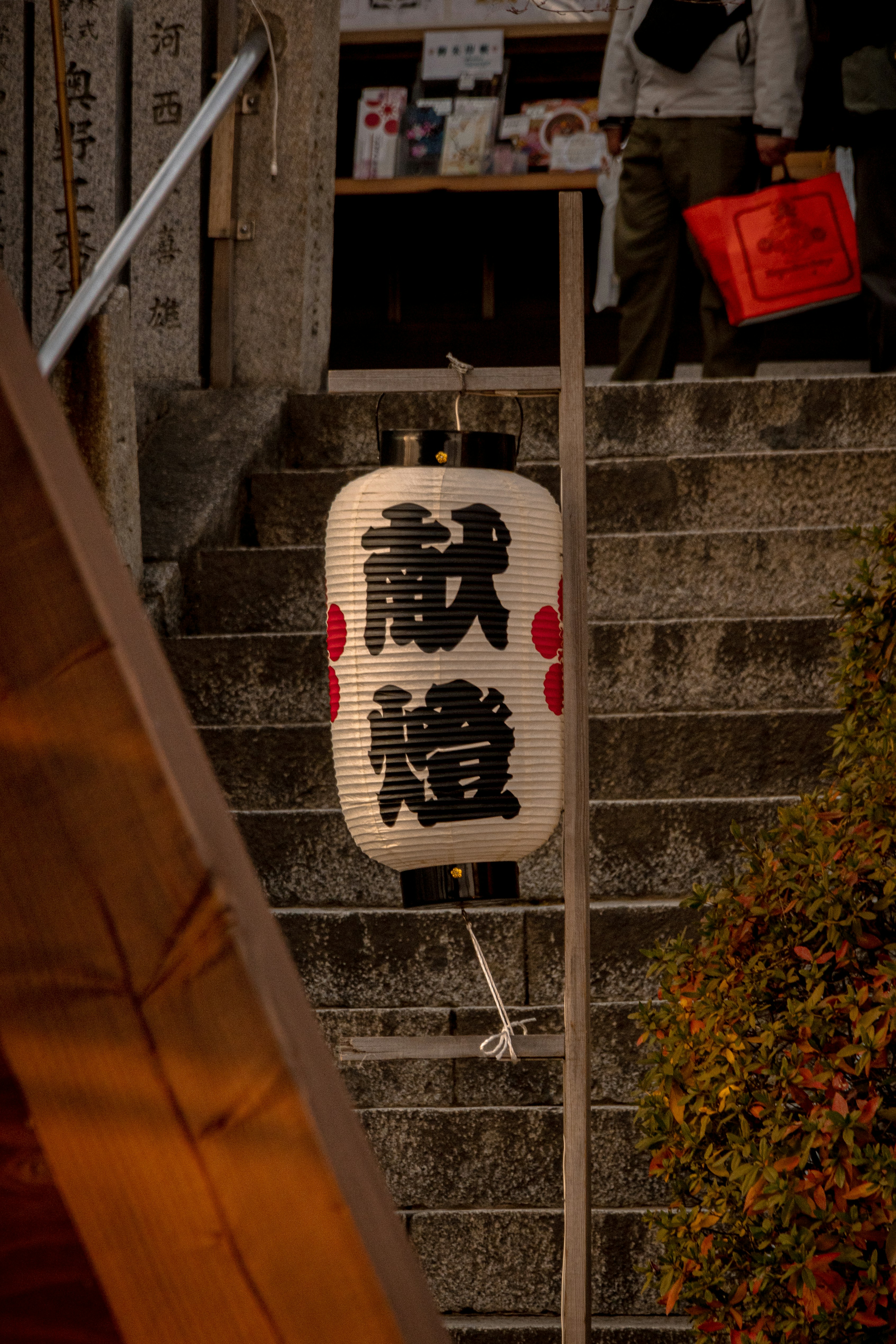 Photo by horseratbros