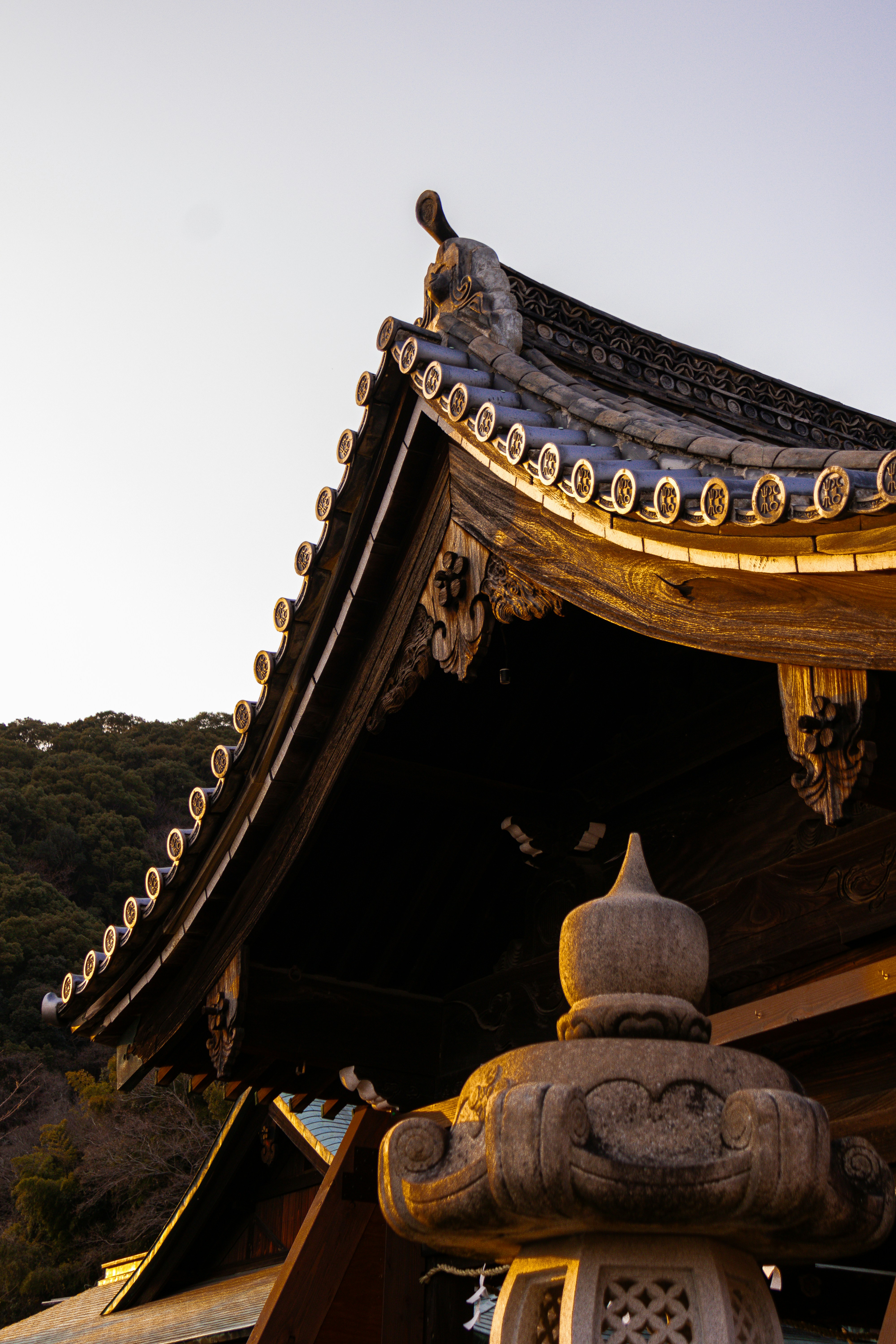 Photo by horseratbros