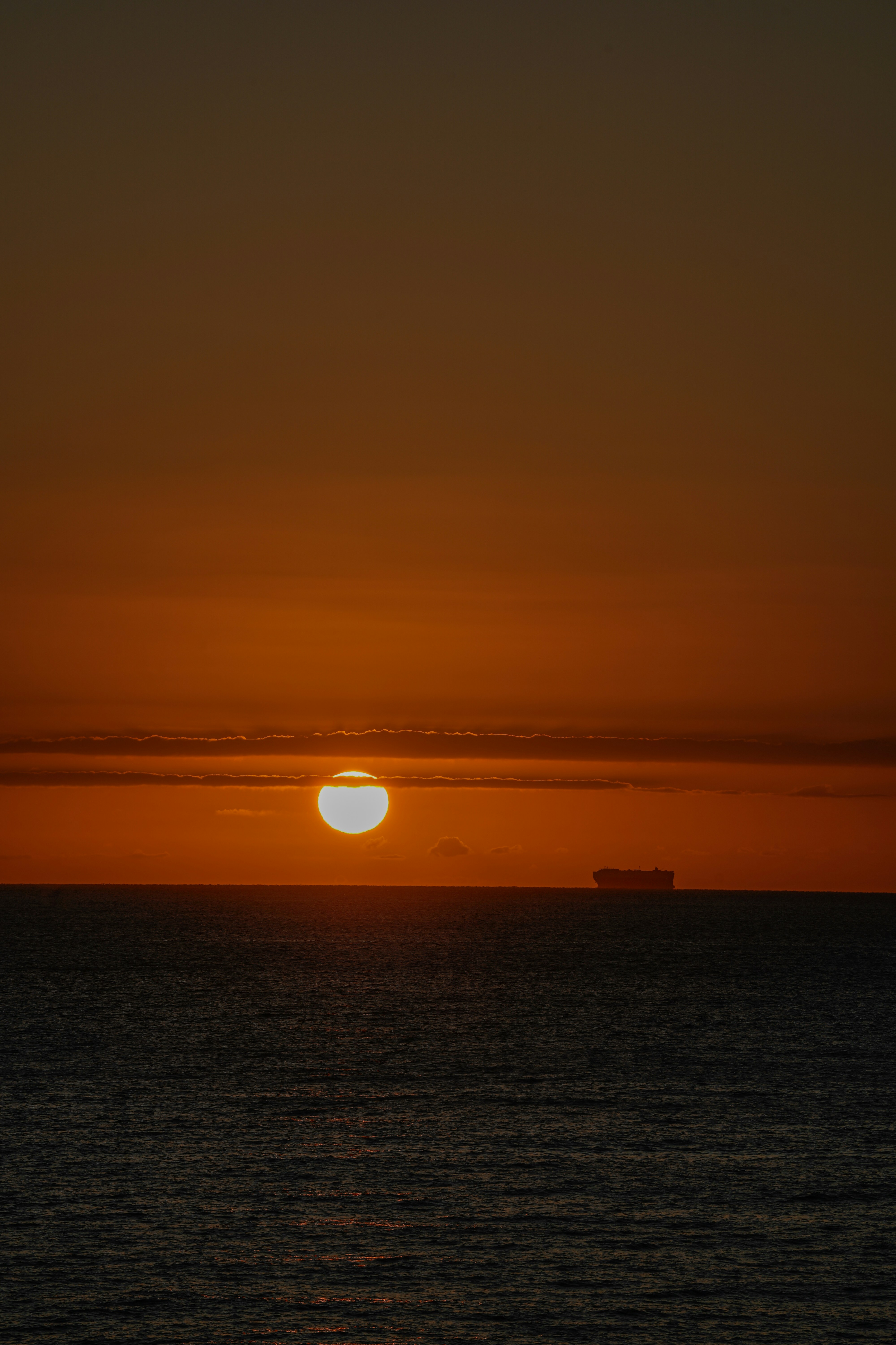 Photo by aldwardcv31