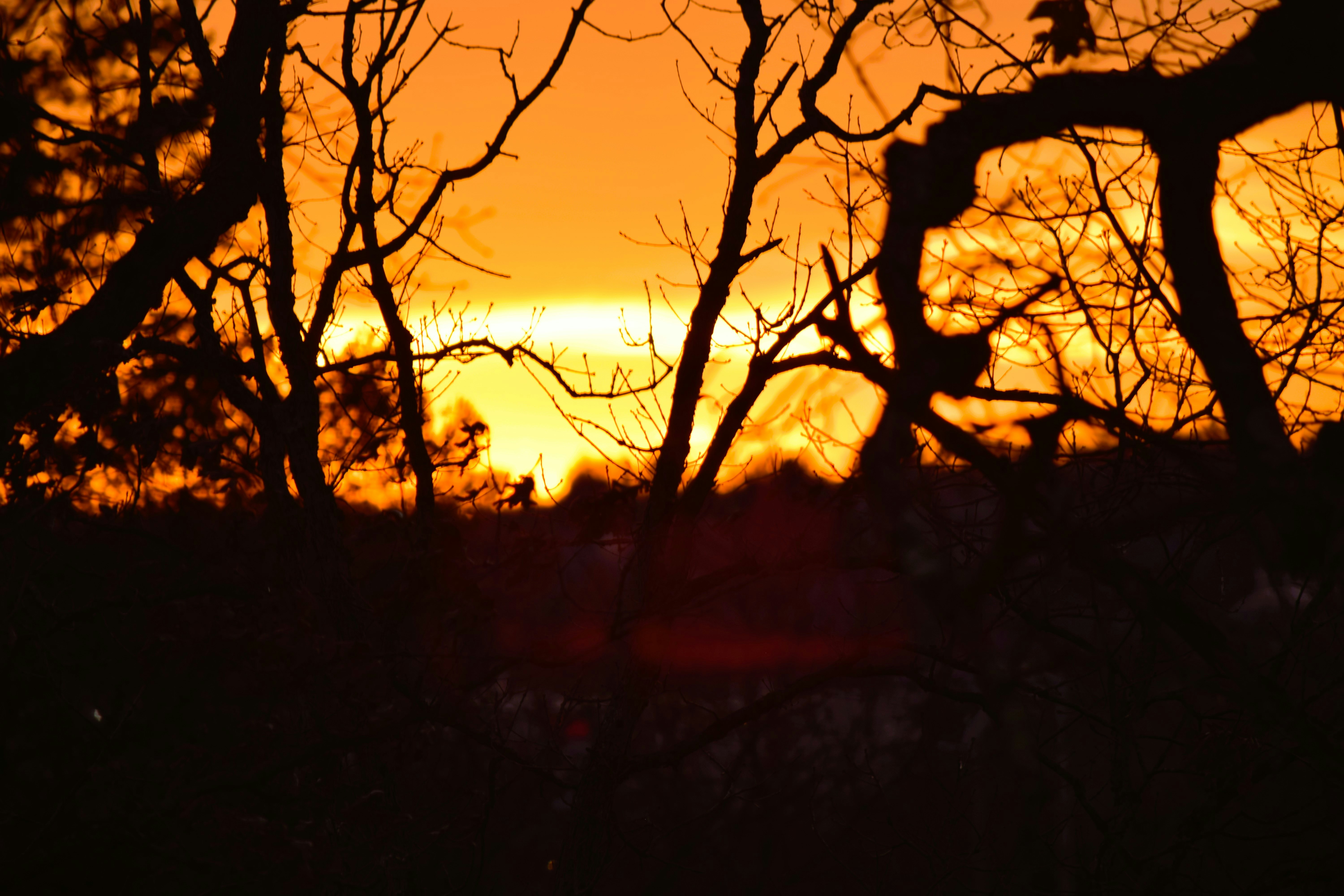 Photo by markagardphoto