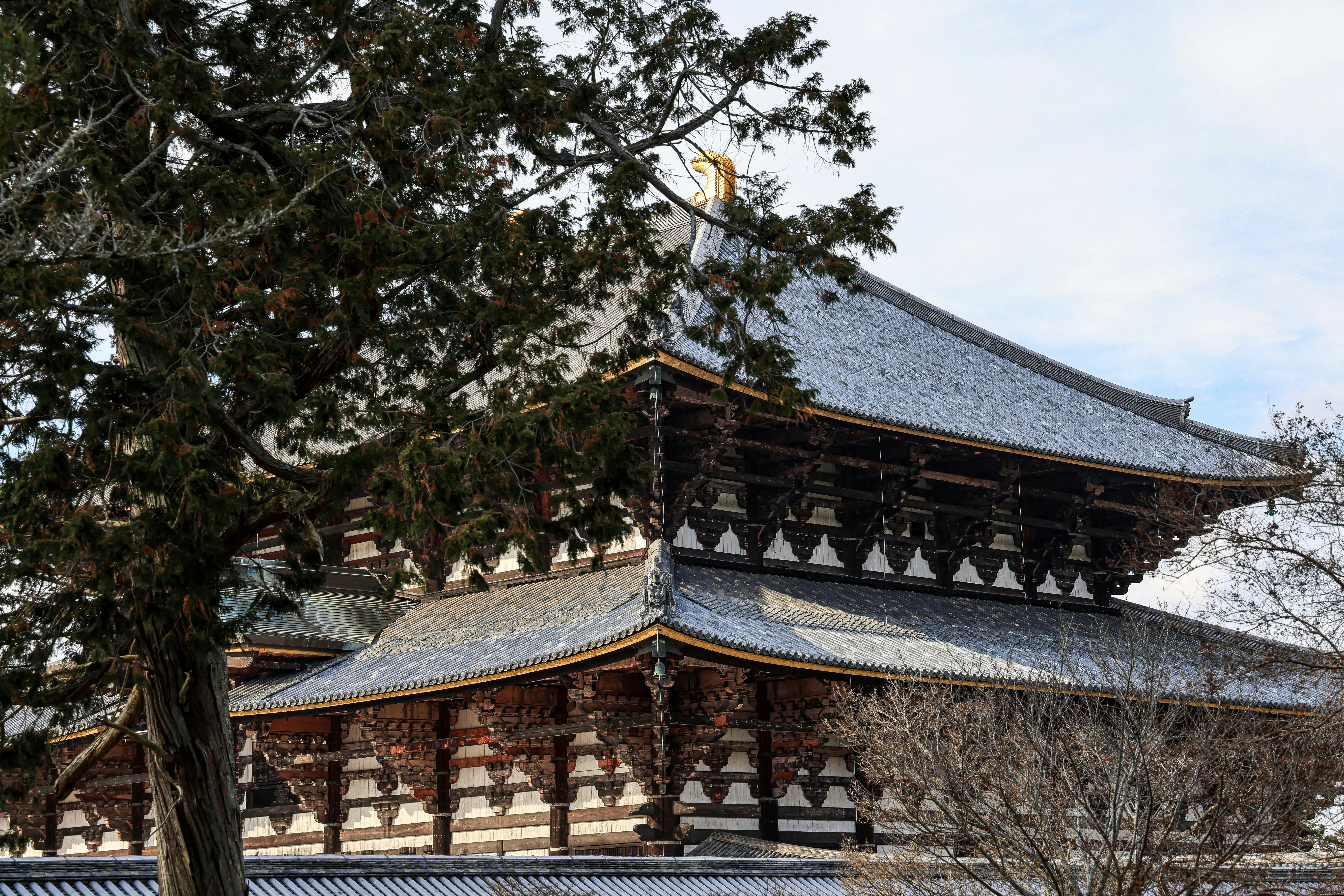 Photo by maximilian_brand