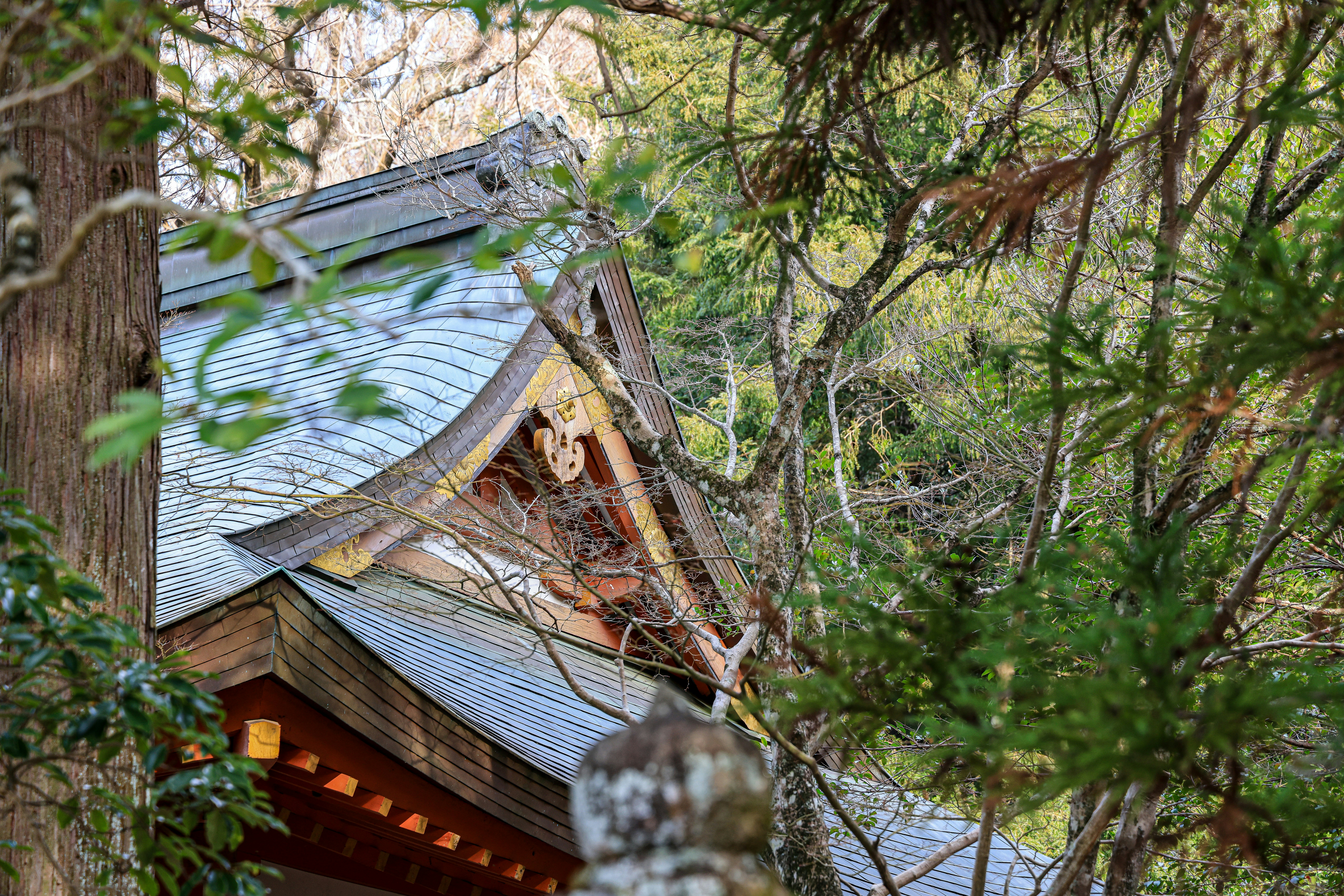 Photo by maximilian_brand