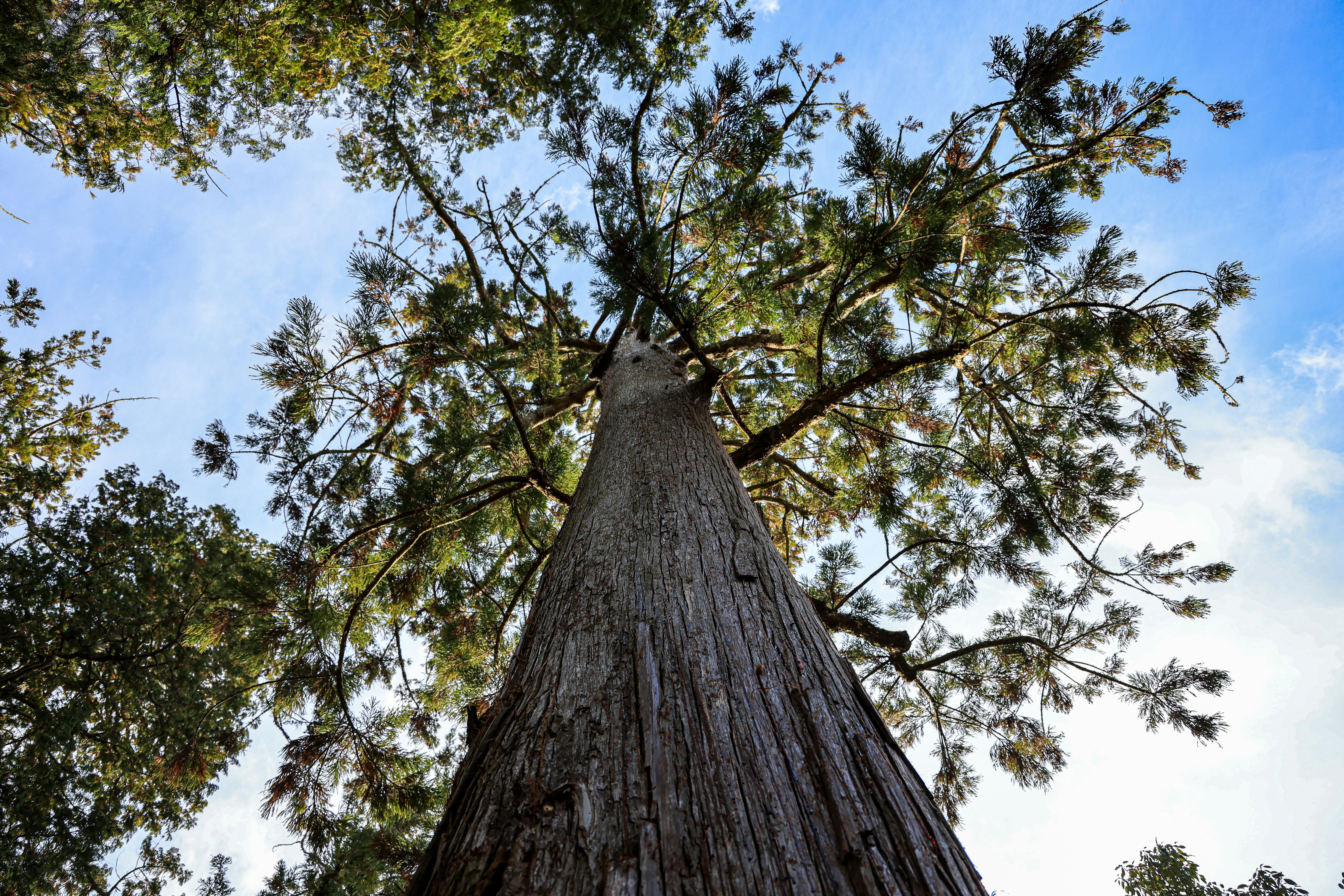 Photo by maximilian_brand