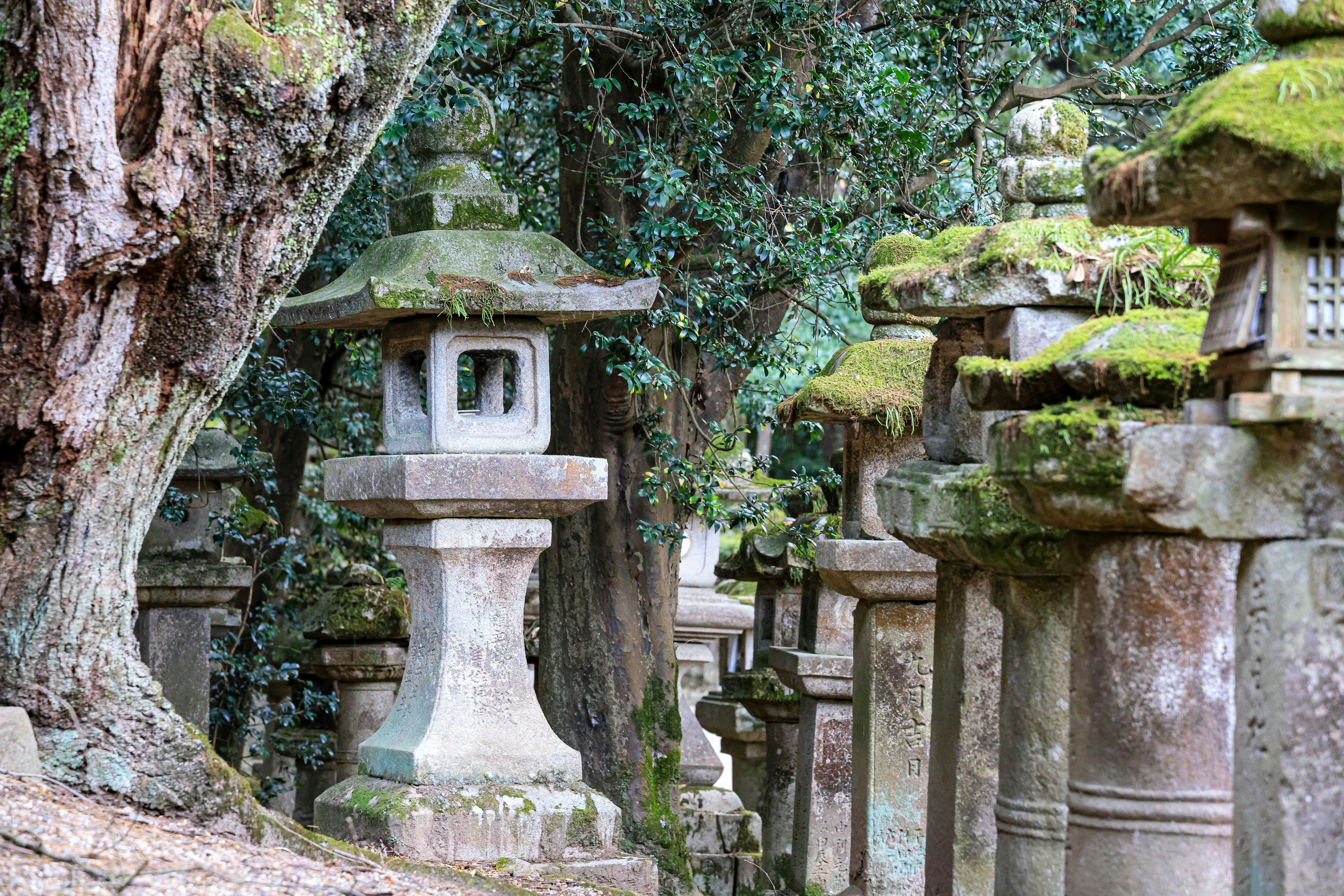 Photo by maximilian_brand