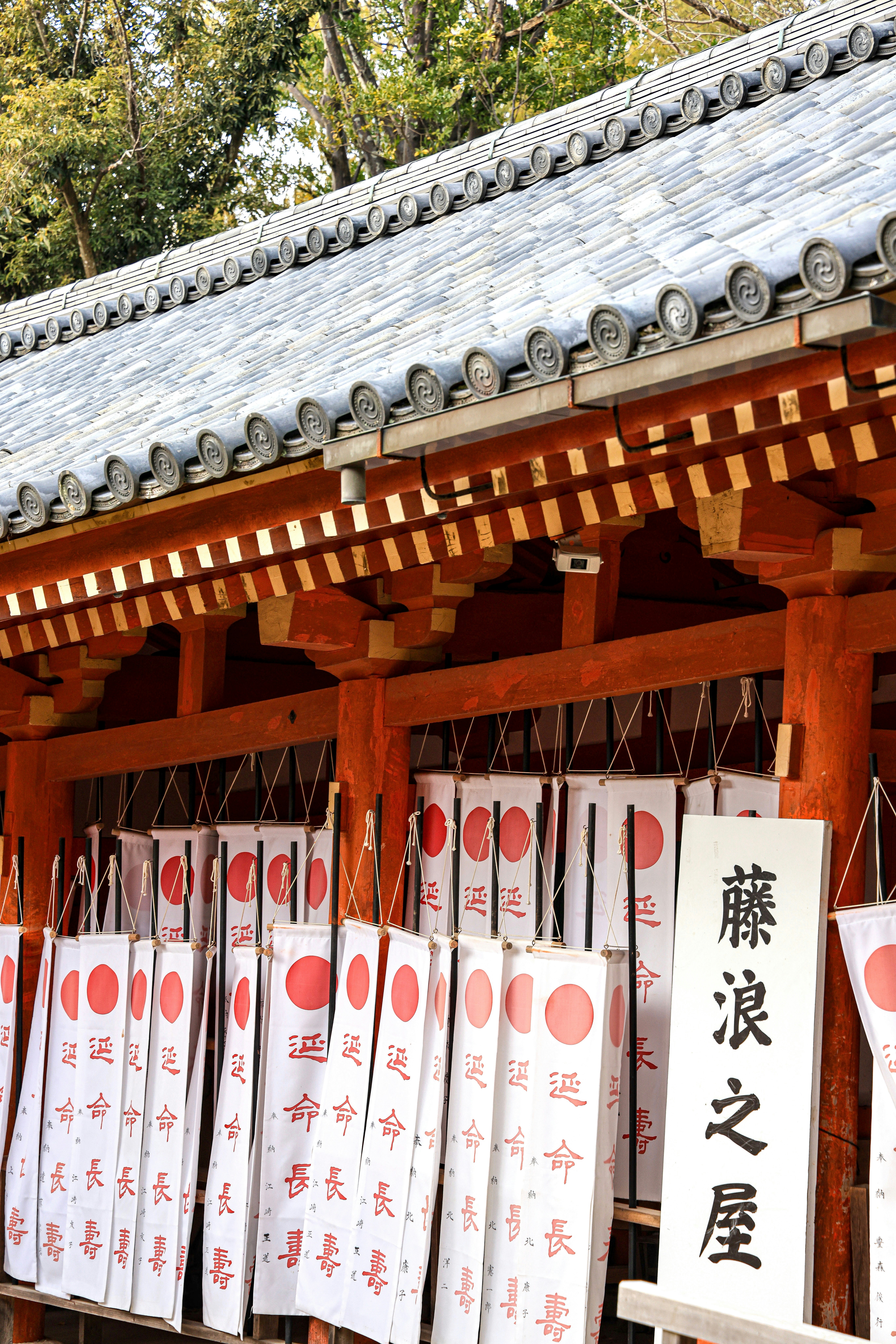 Photo by maximilian_brand