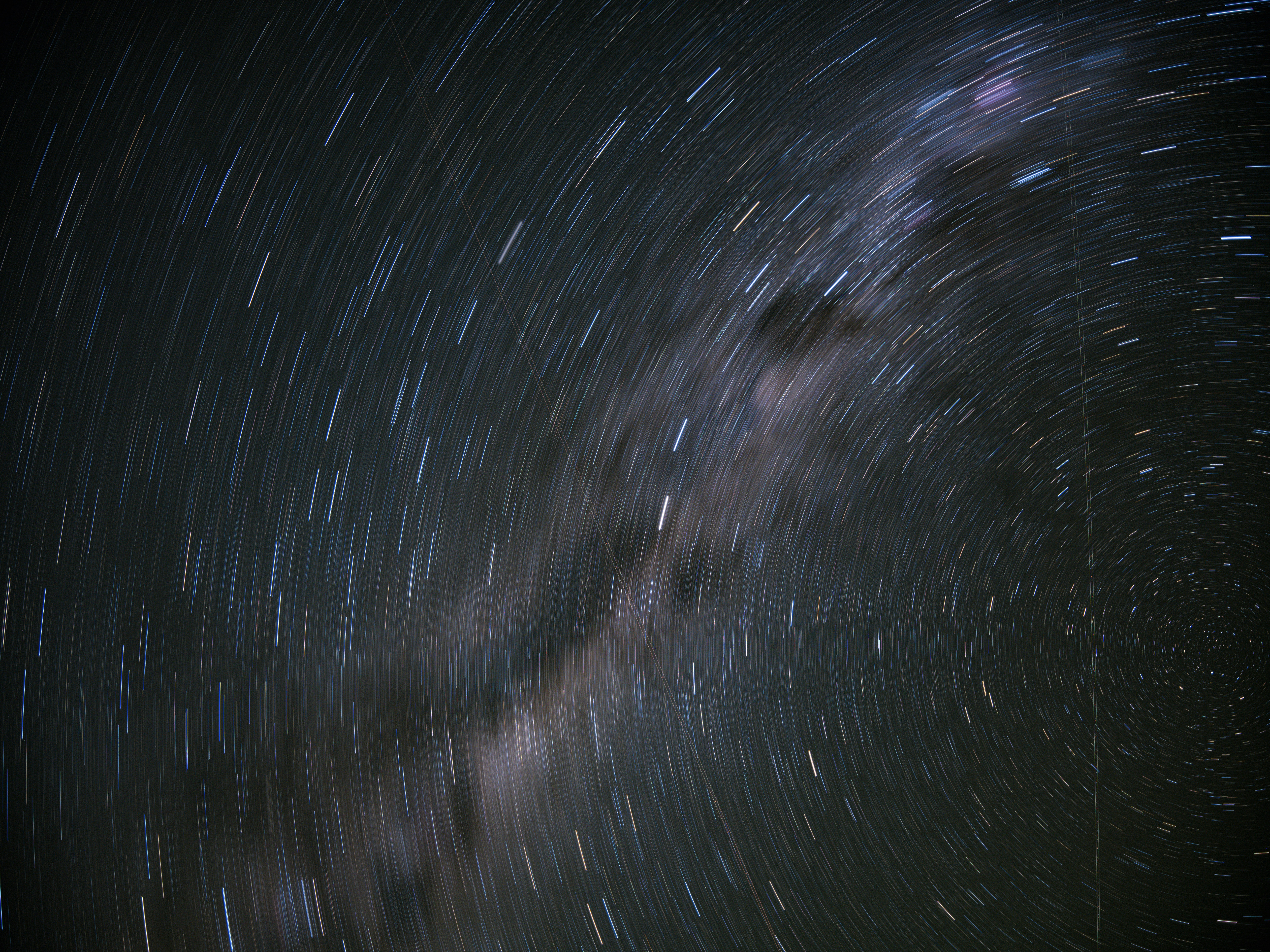 Photo by neonwangphotography