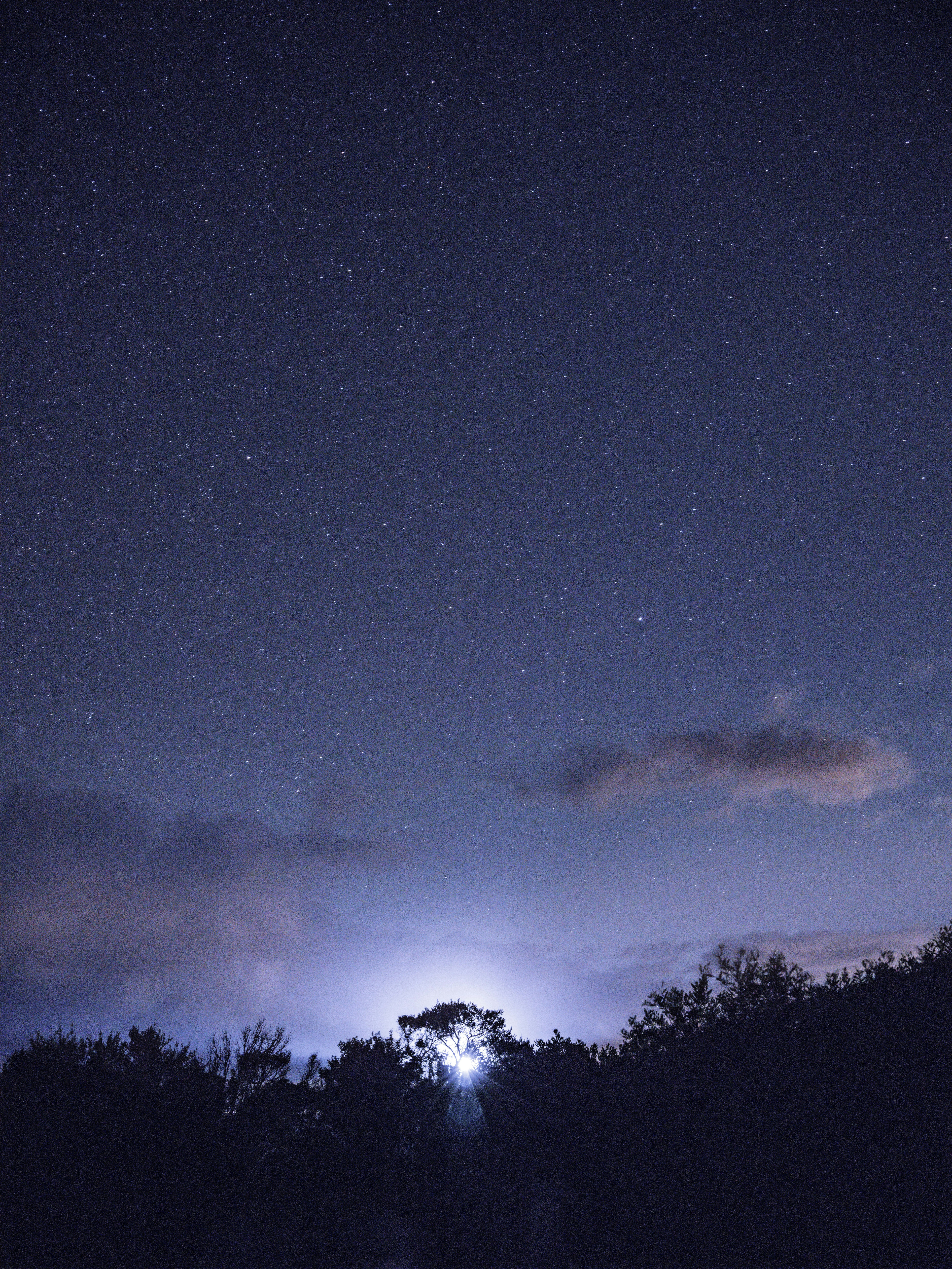 Photo by neonwangphotography