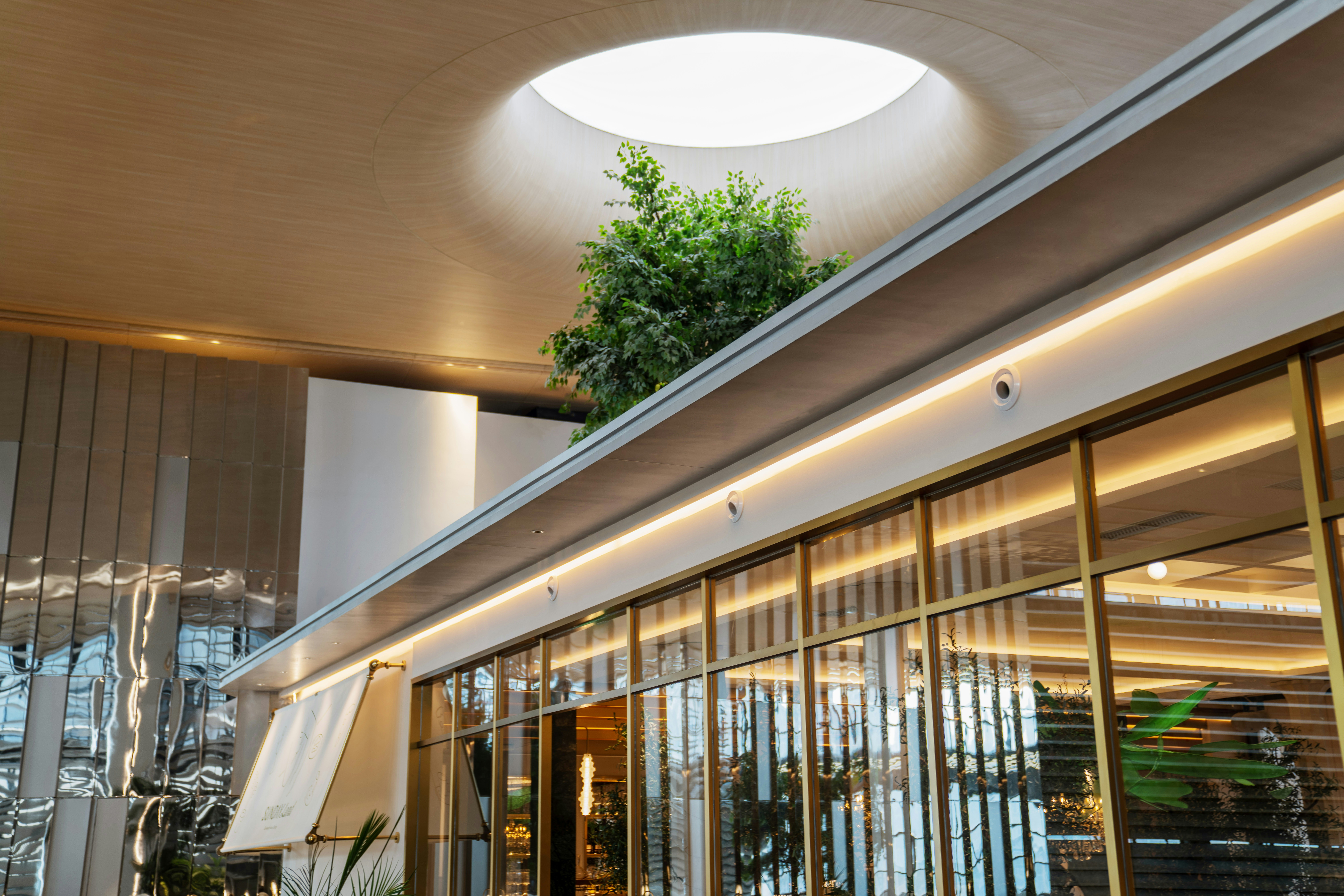 Photo by neonwangphotography