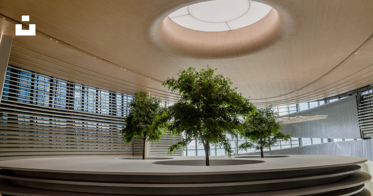 Ein runder Raum mit einem Baum darin Foto – Kostenloses Bild zum Thema ...