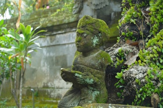 A statue of a person holding a book in a garden