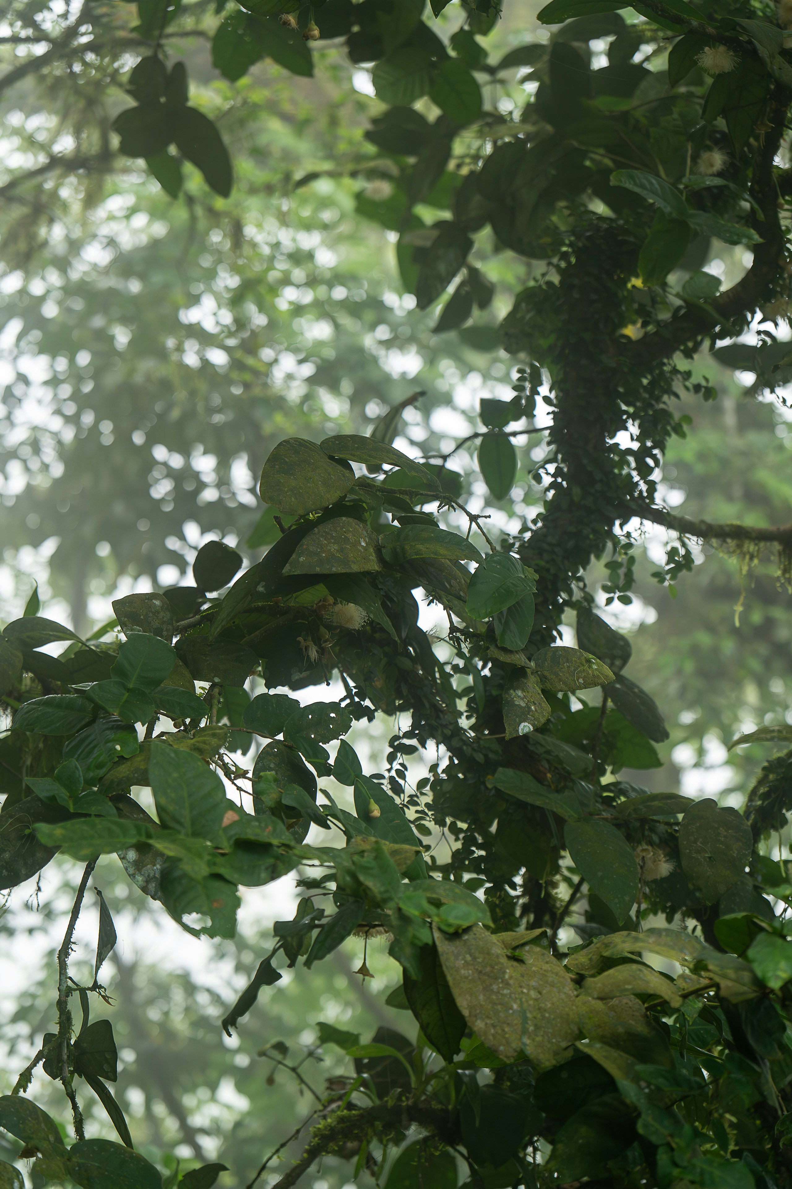 Photo by gosoundmitch