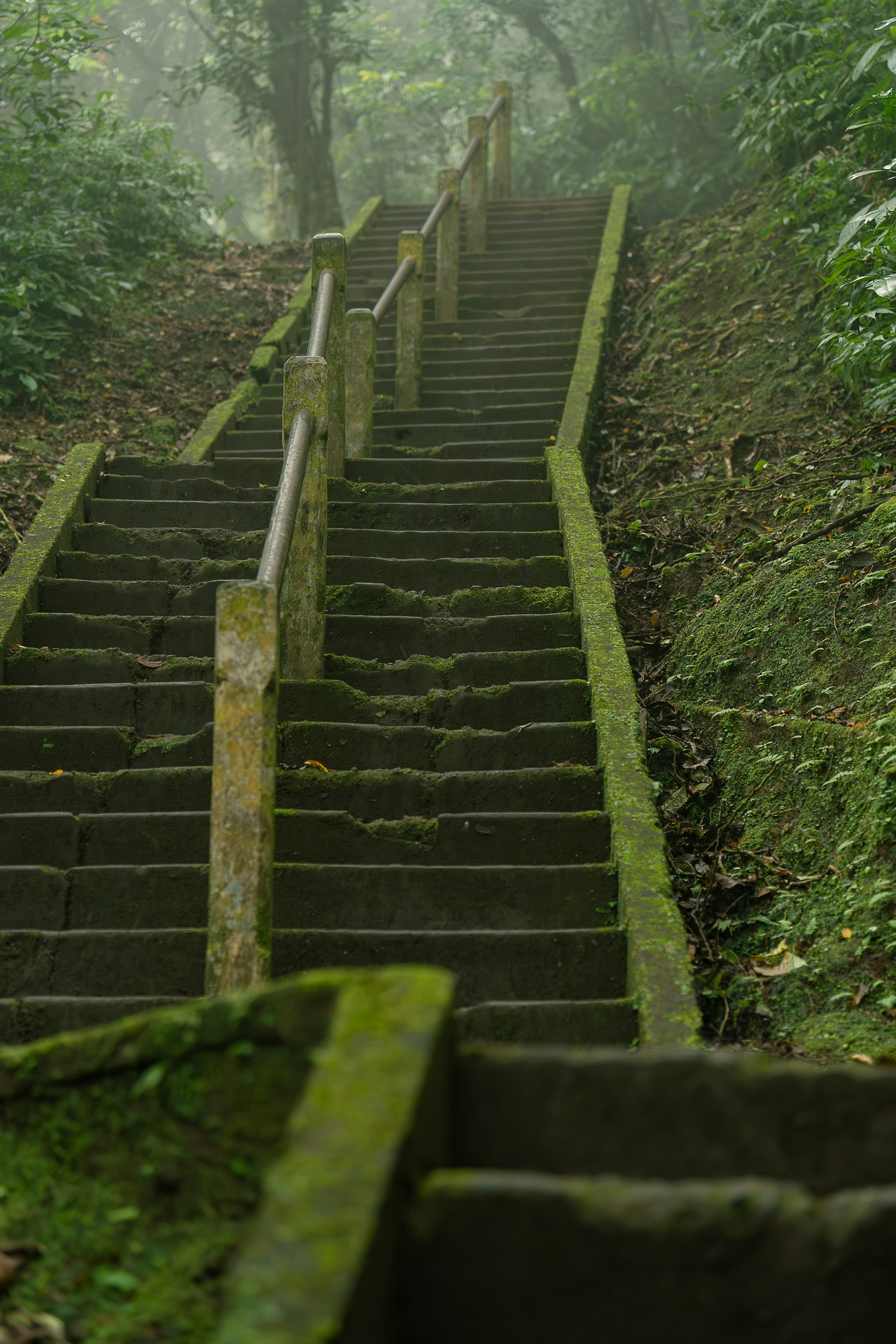 Photo by gosoundmitch