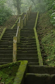 A set of stairs in the middle of a forest