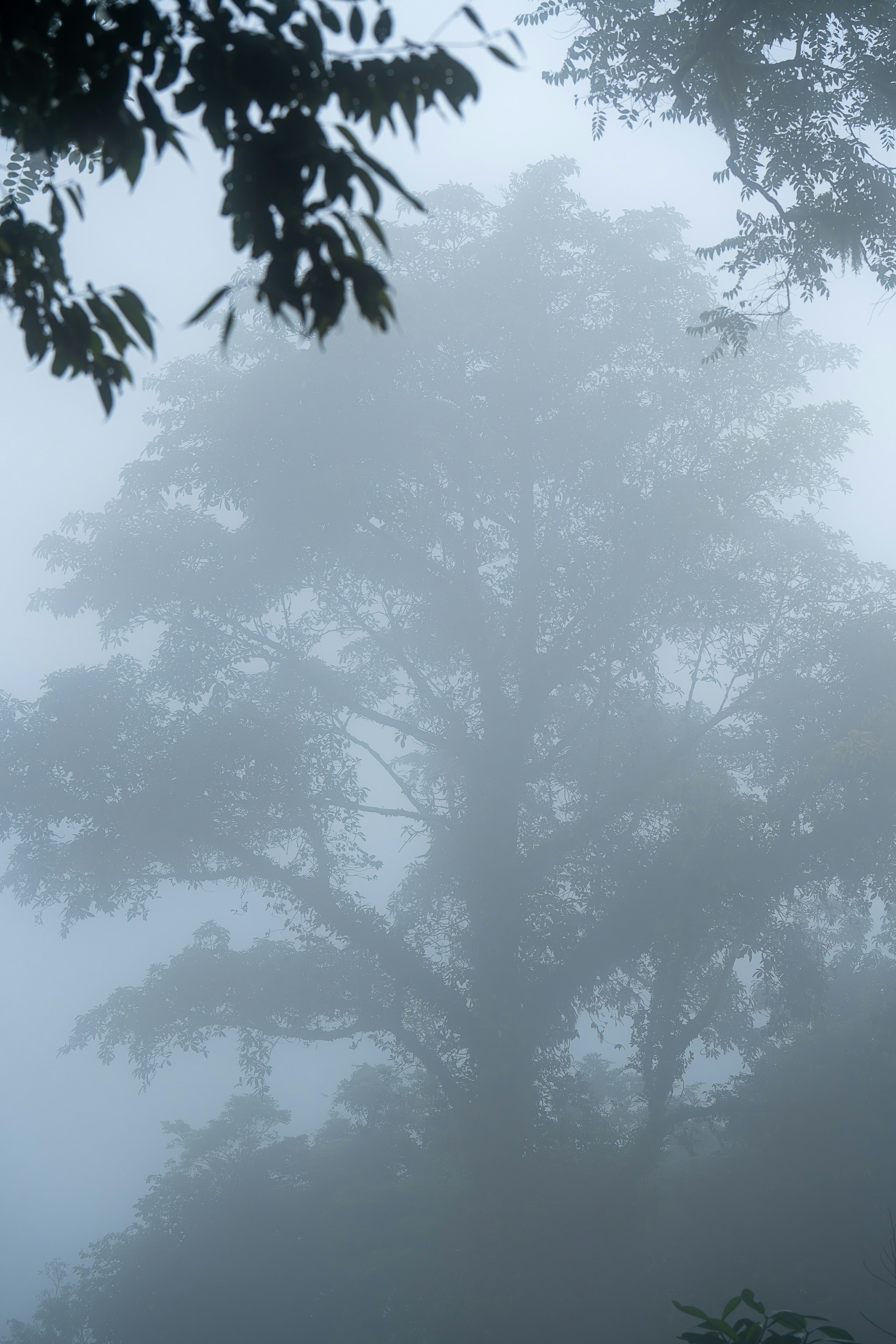 Photo by gosoundmitch