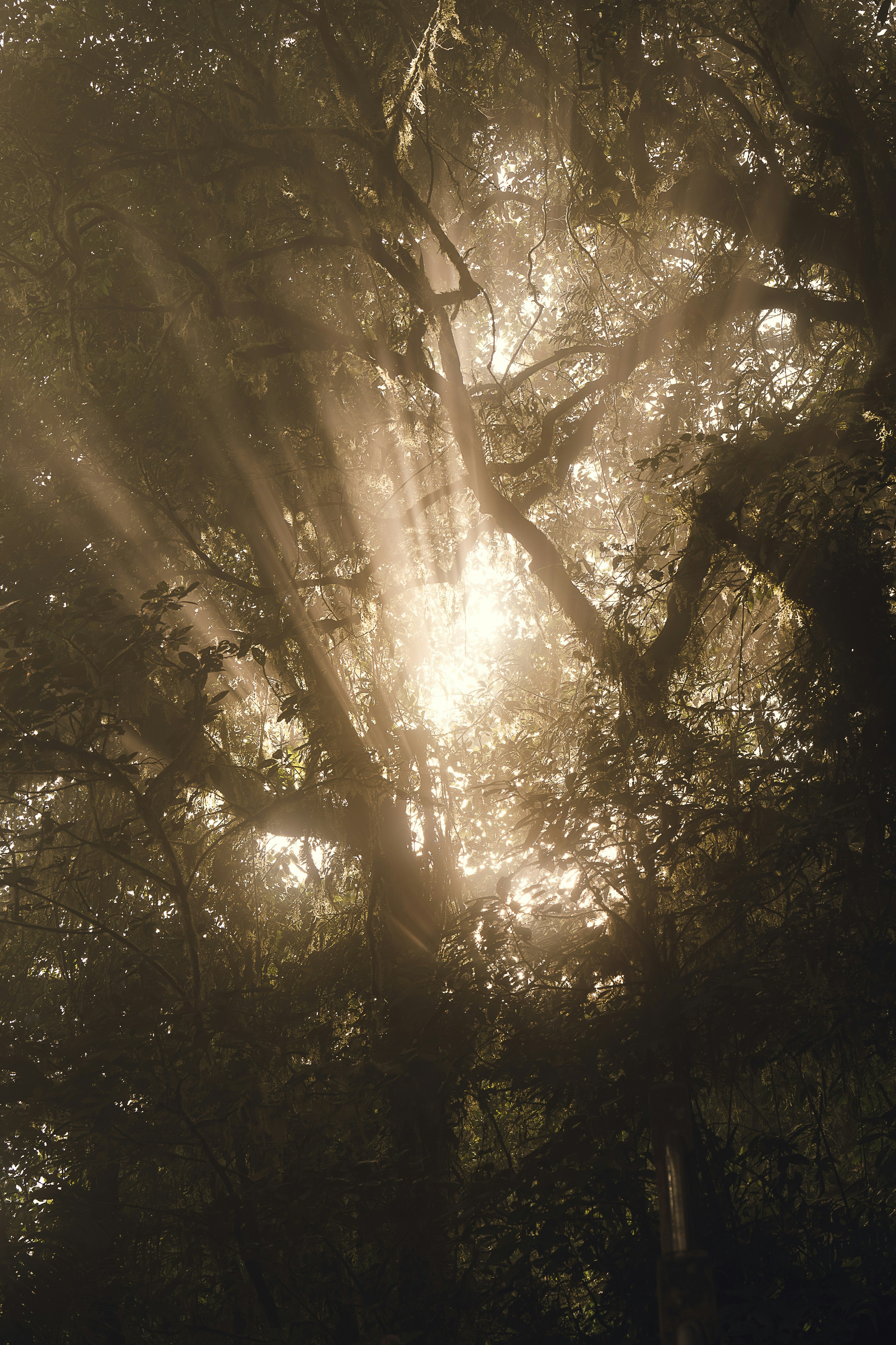 Photo by gosoundmitch