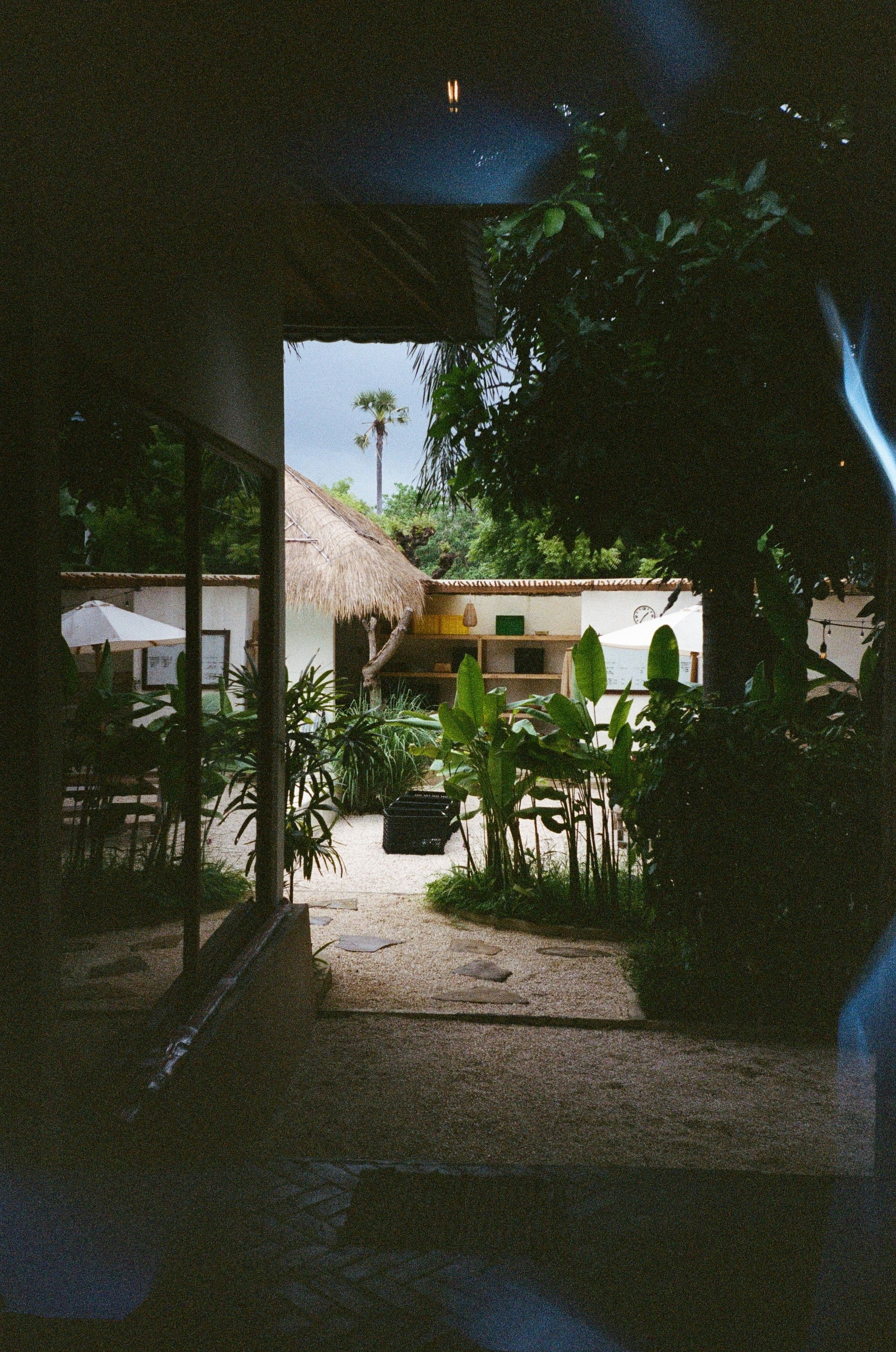 Photo by iridescentstars