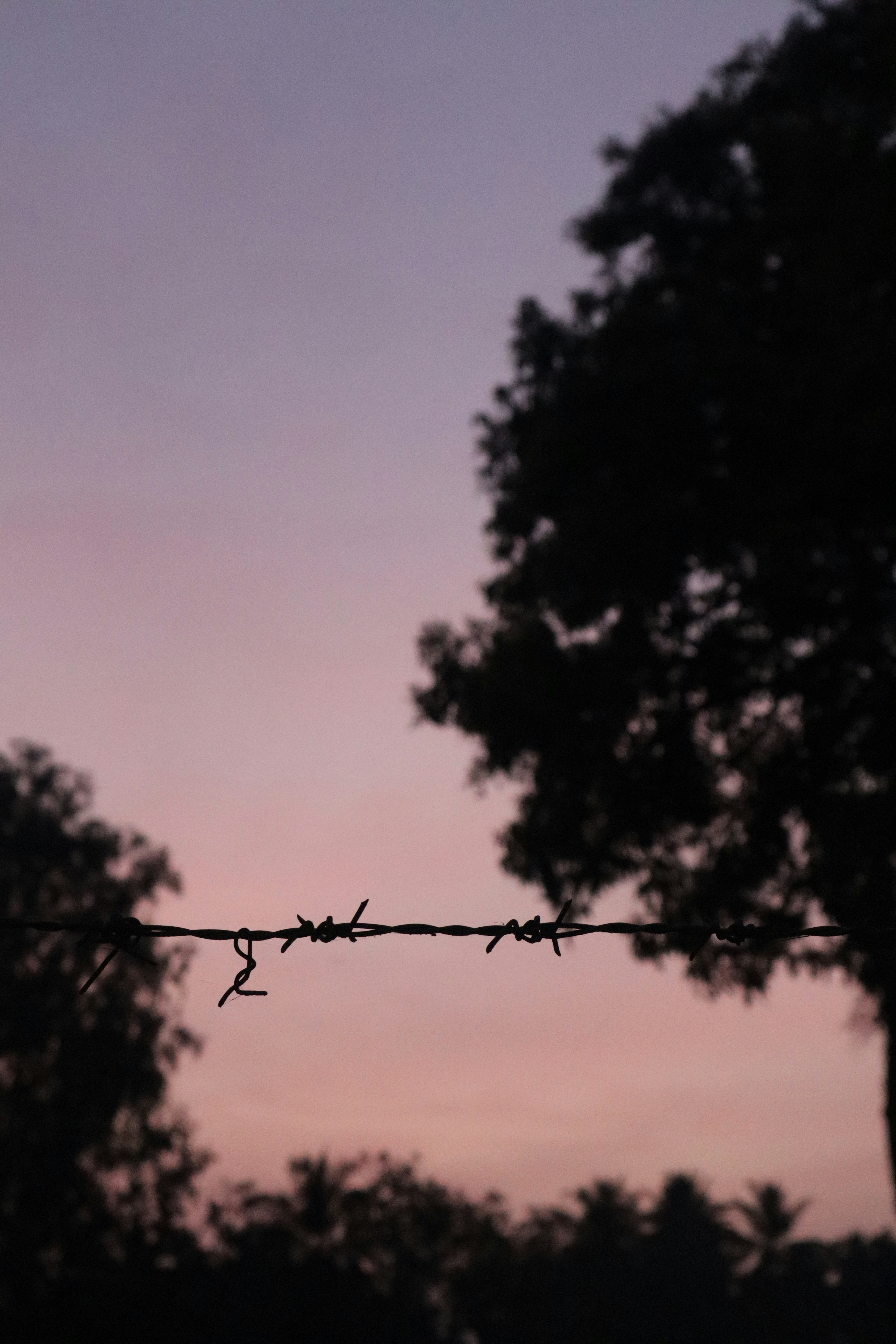 Photo by laavanya_bhattt