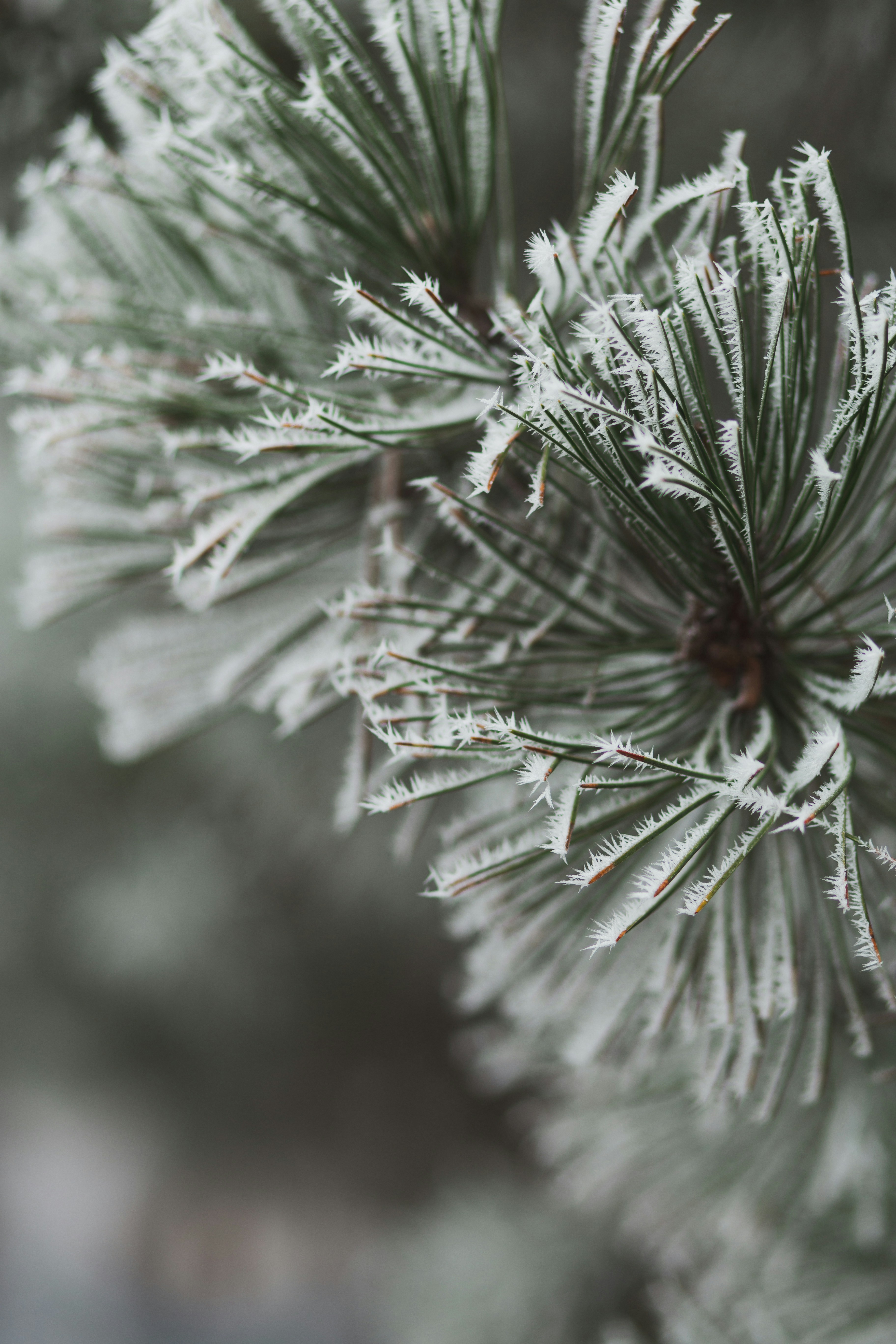 Photo by svitlana_rusak