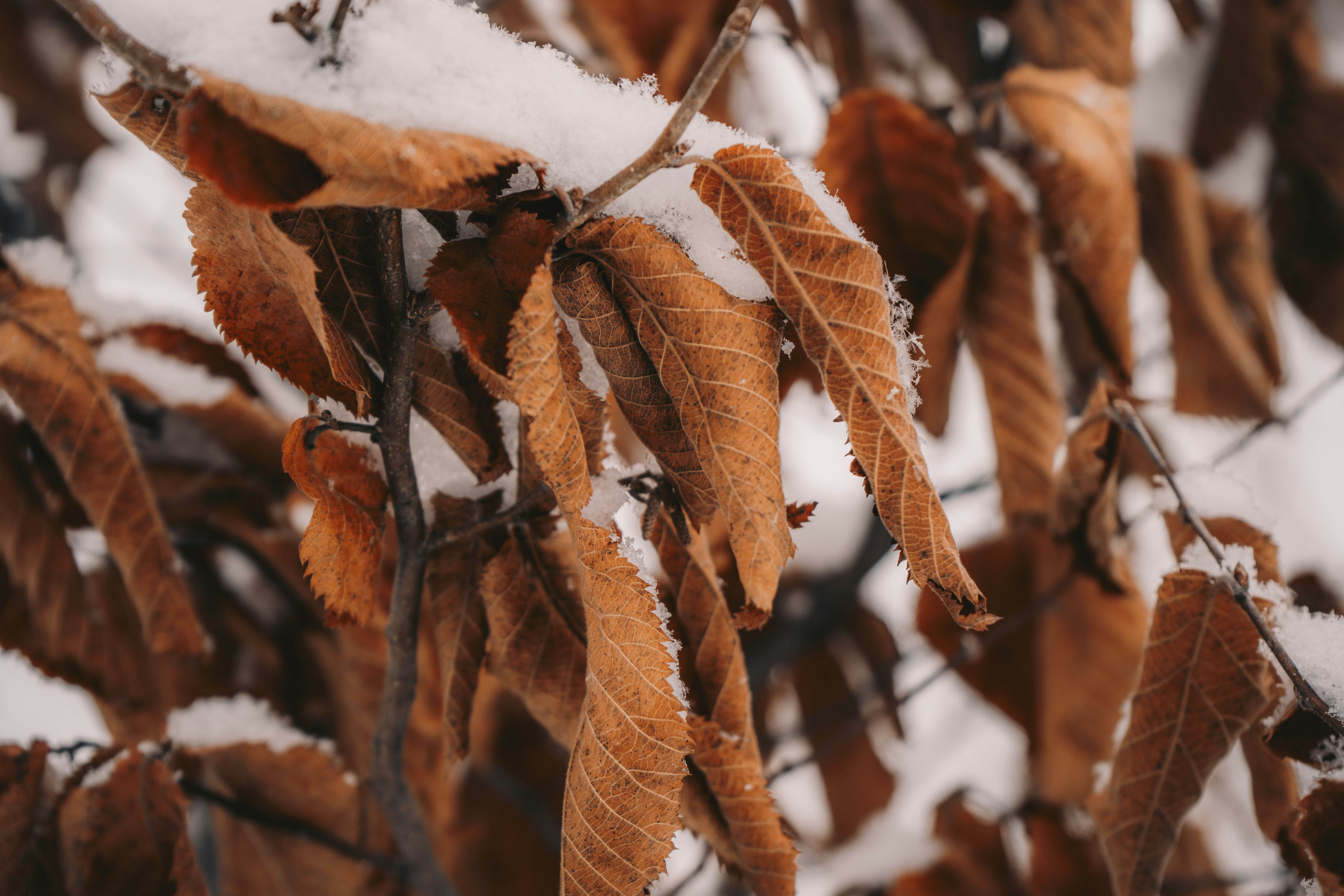 환절기 감기 대비용 영양제와 생활 습관 팁