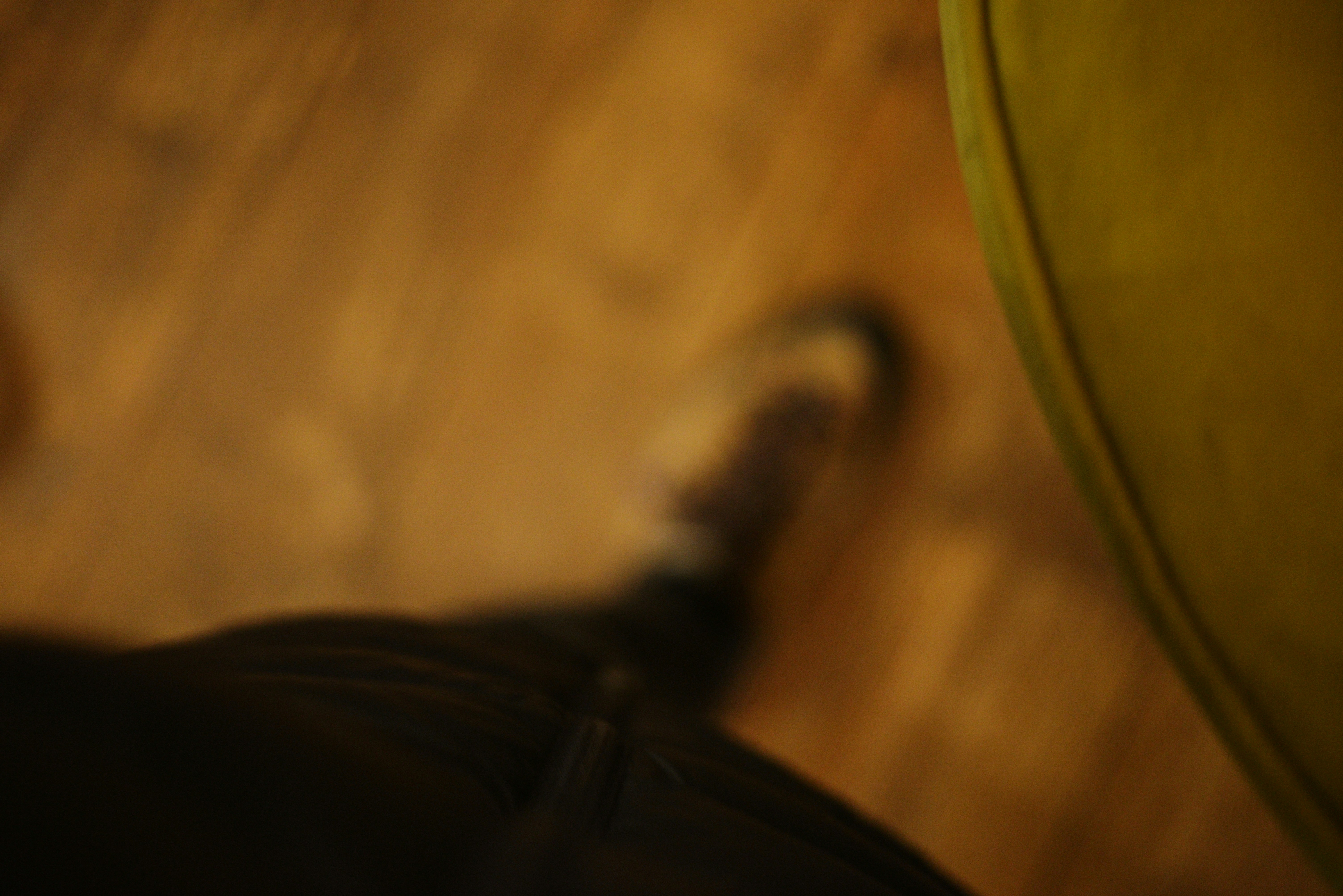 Photo by cherstve_pechivo