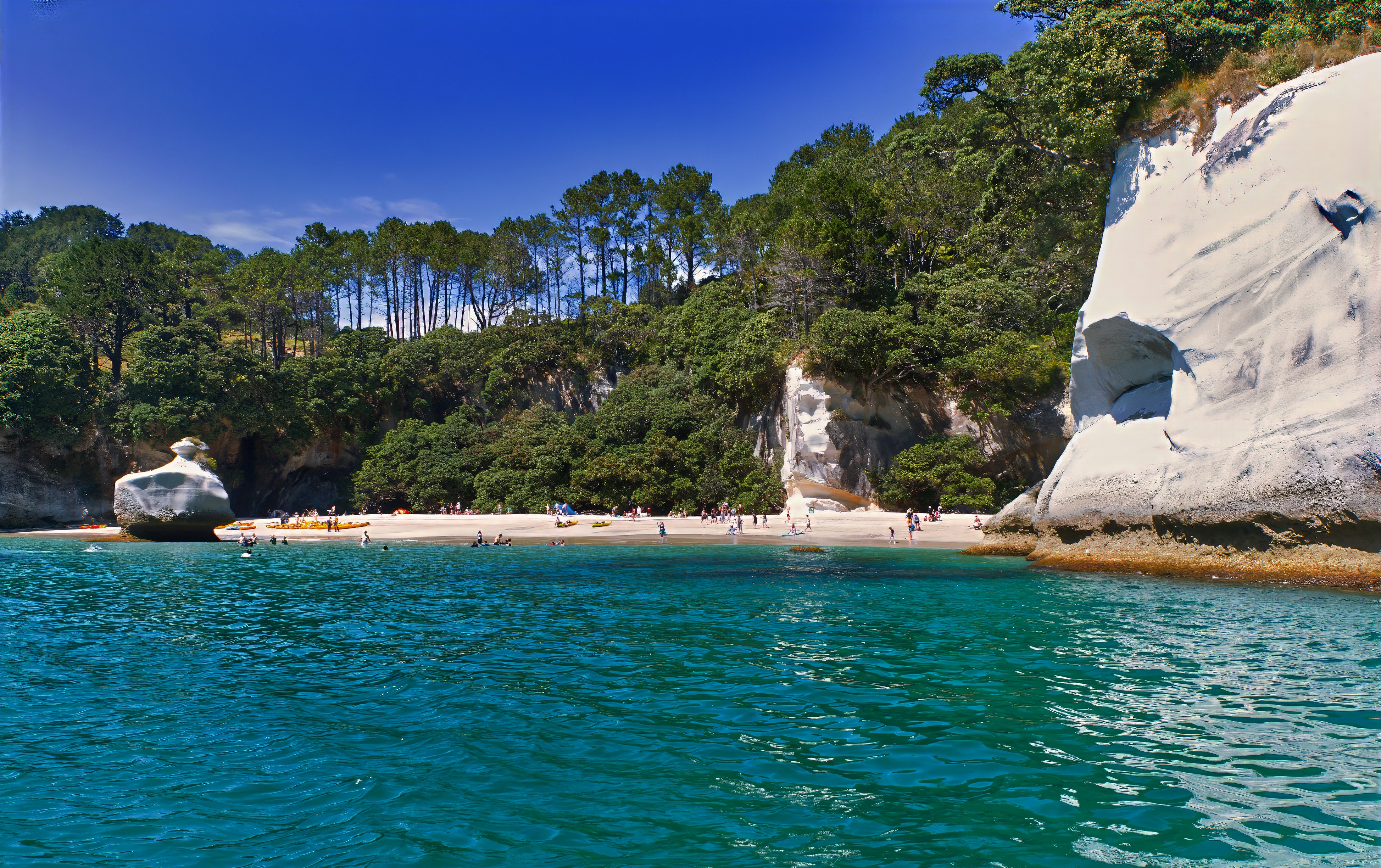 A body of water surrounded by trees and rocks