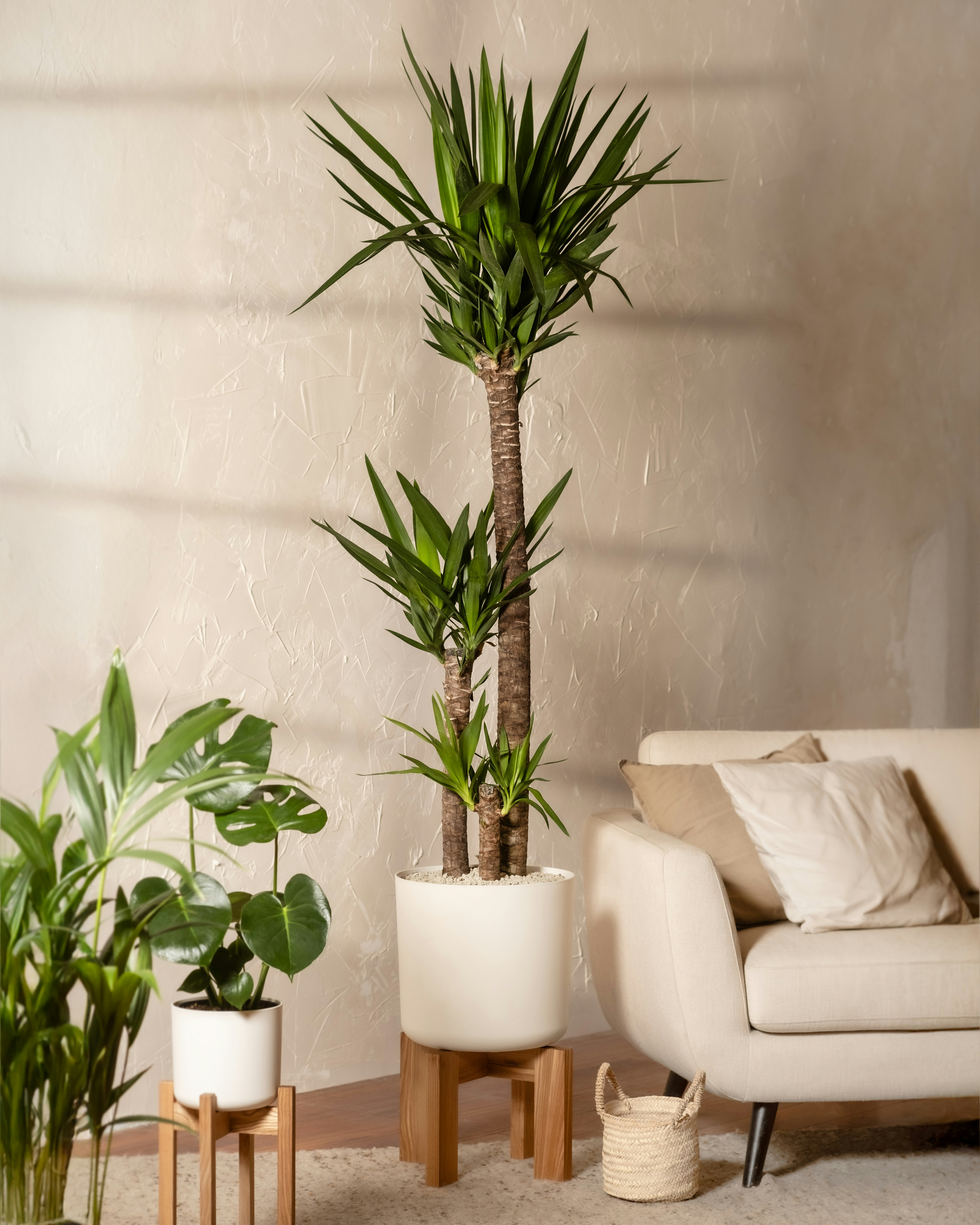 Photo by feeypflanzen