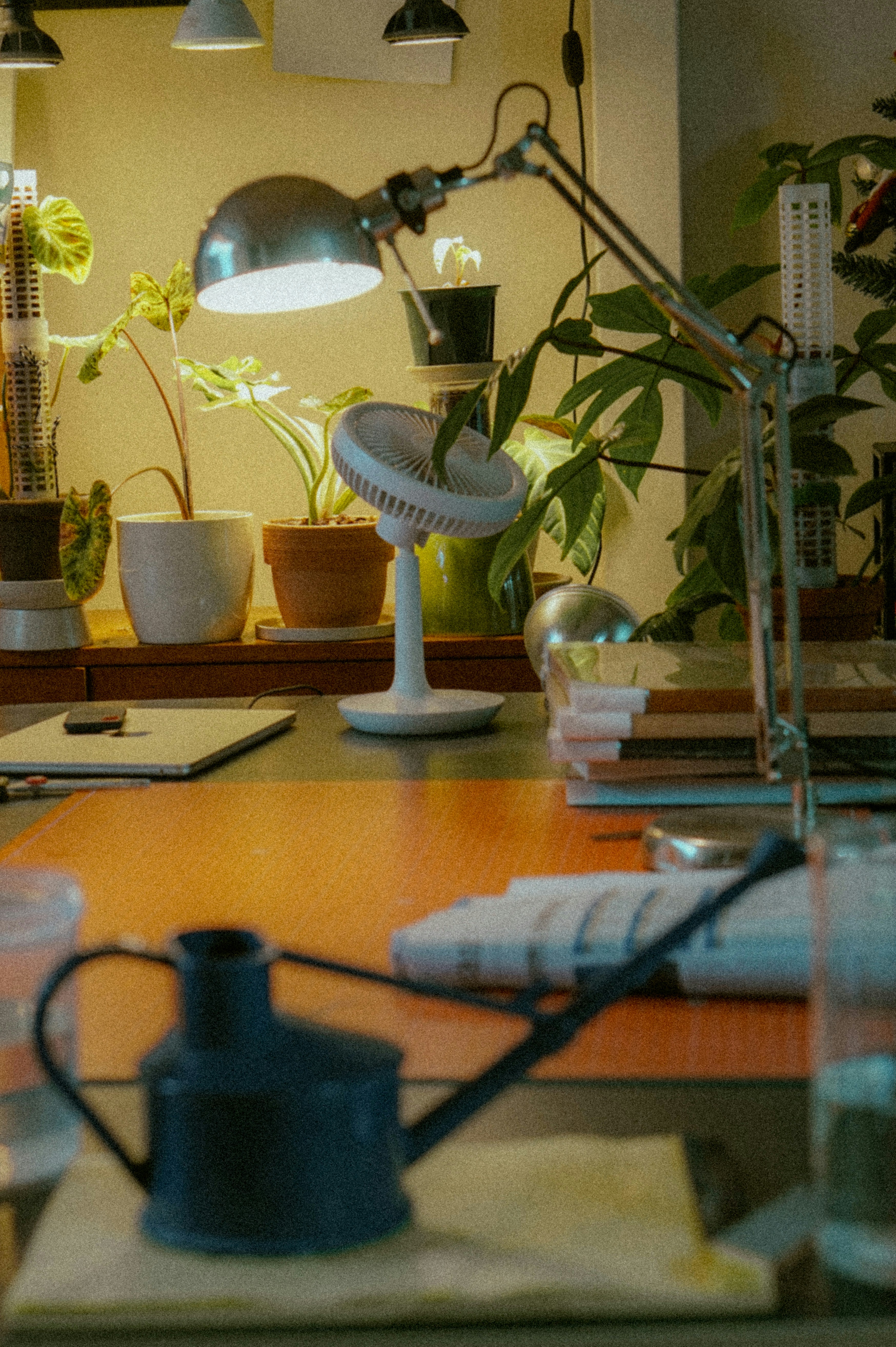 Photo by thingsneverchange