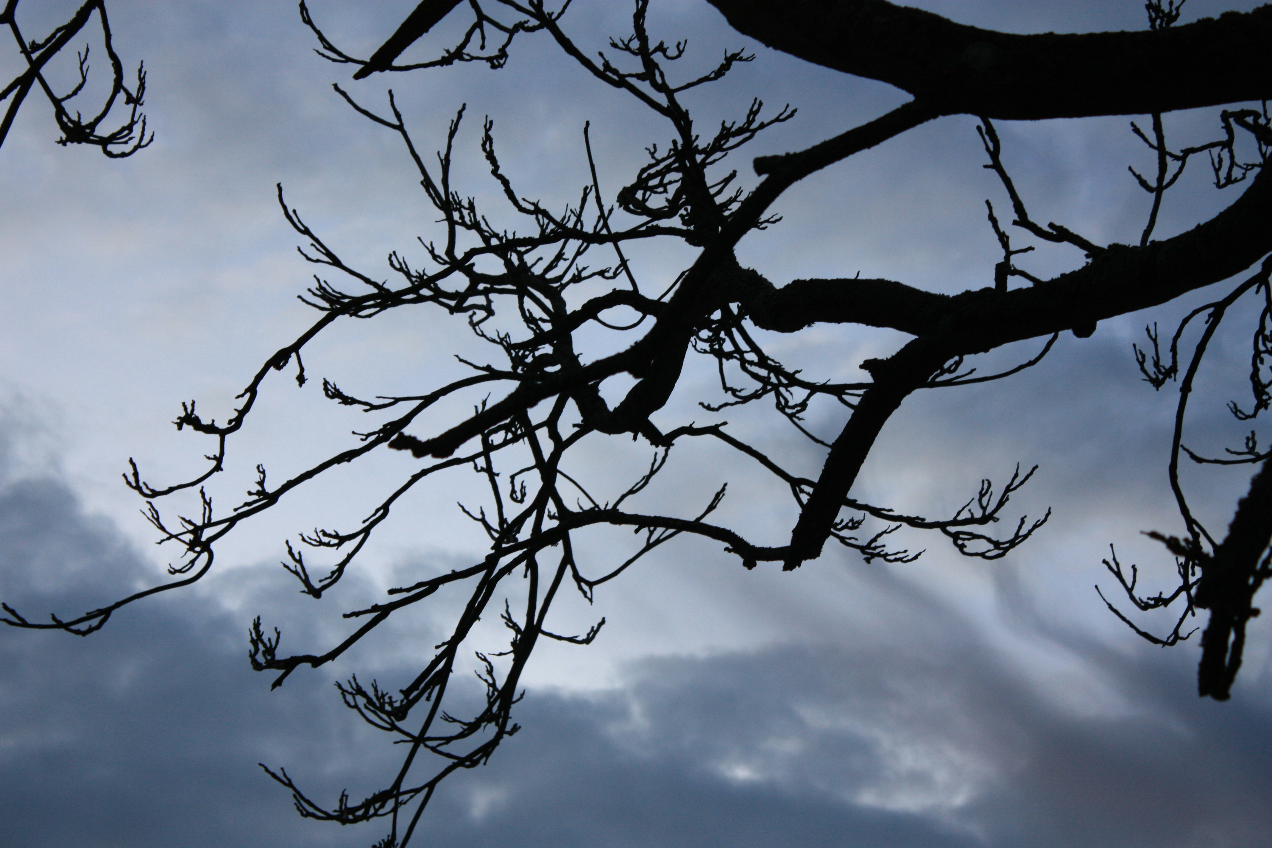 Photo by s_haigh2010