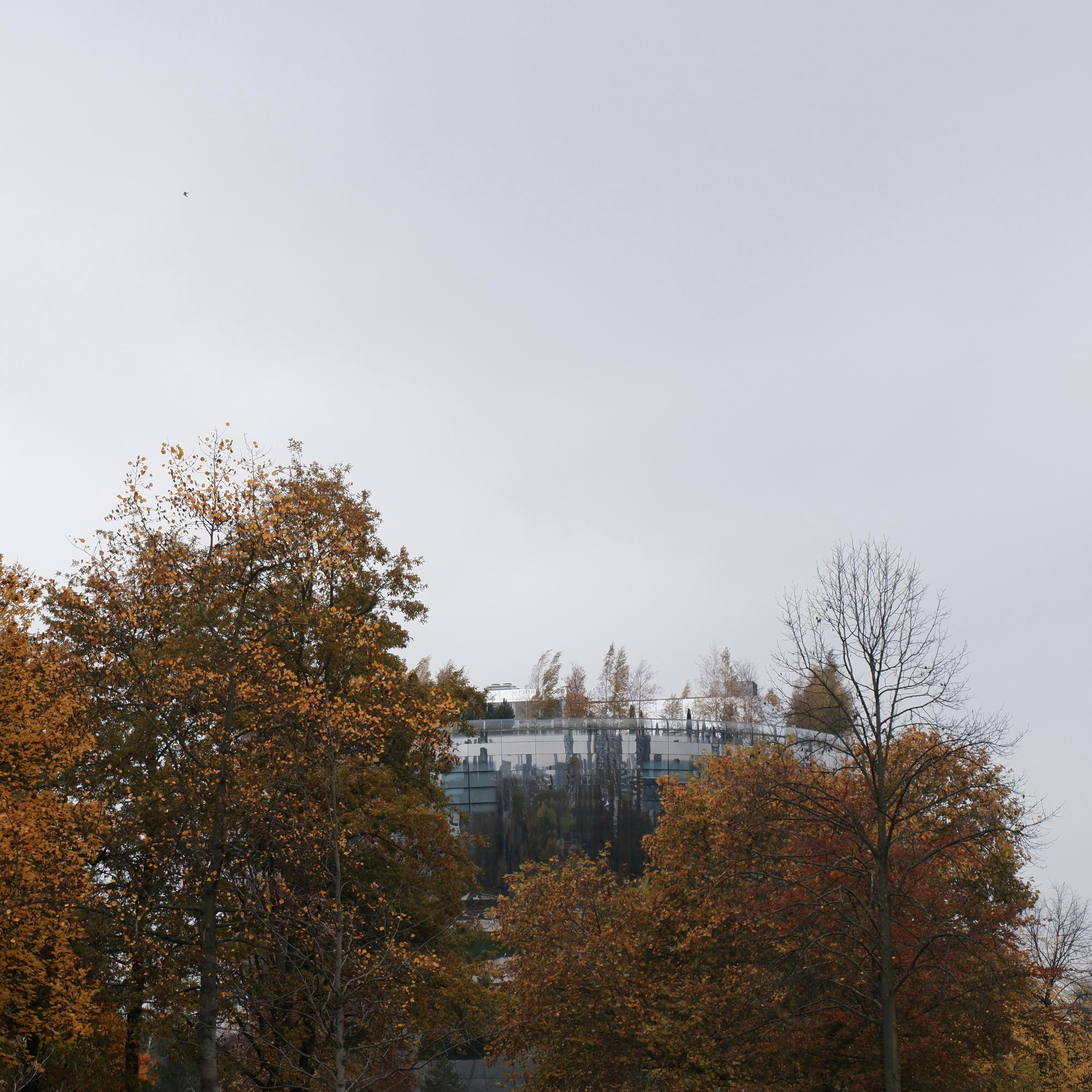 Photo by dariobertolino