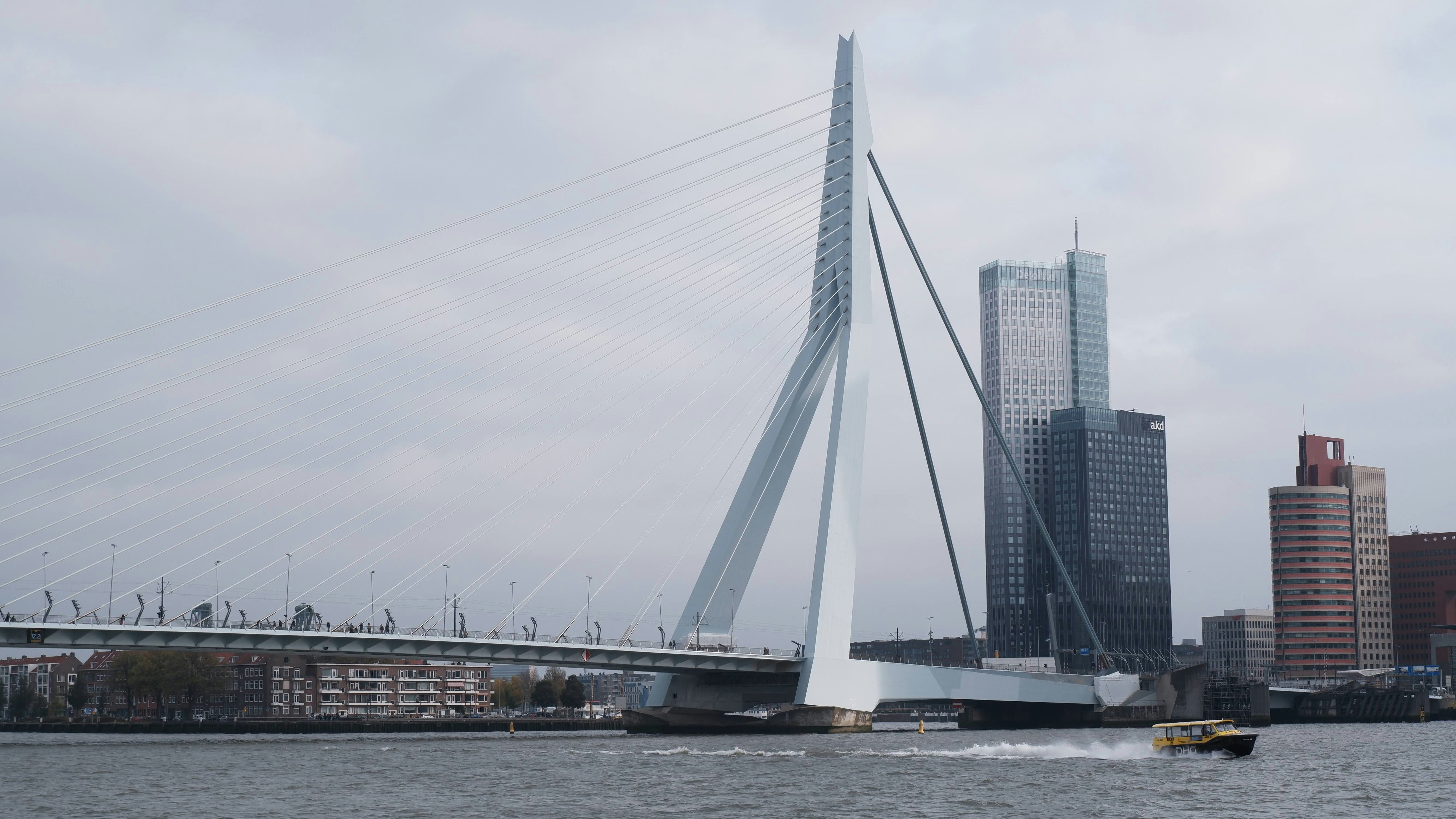 Photo by dariobertolino