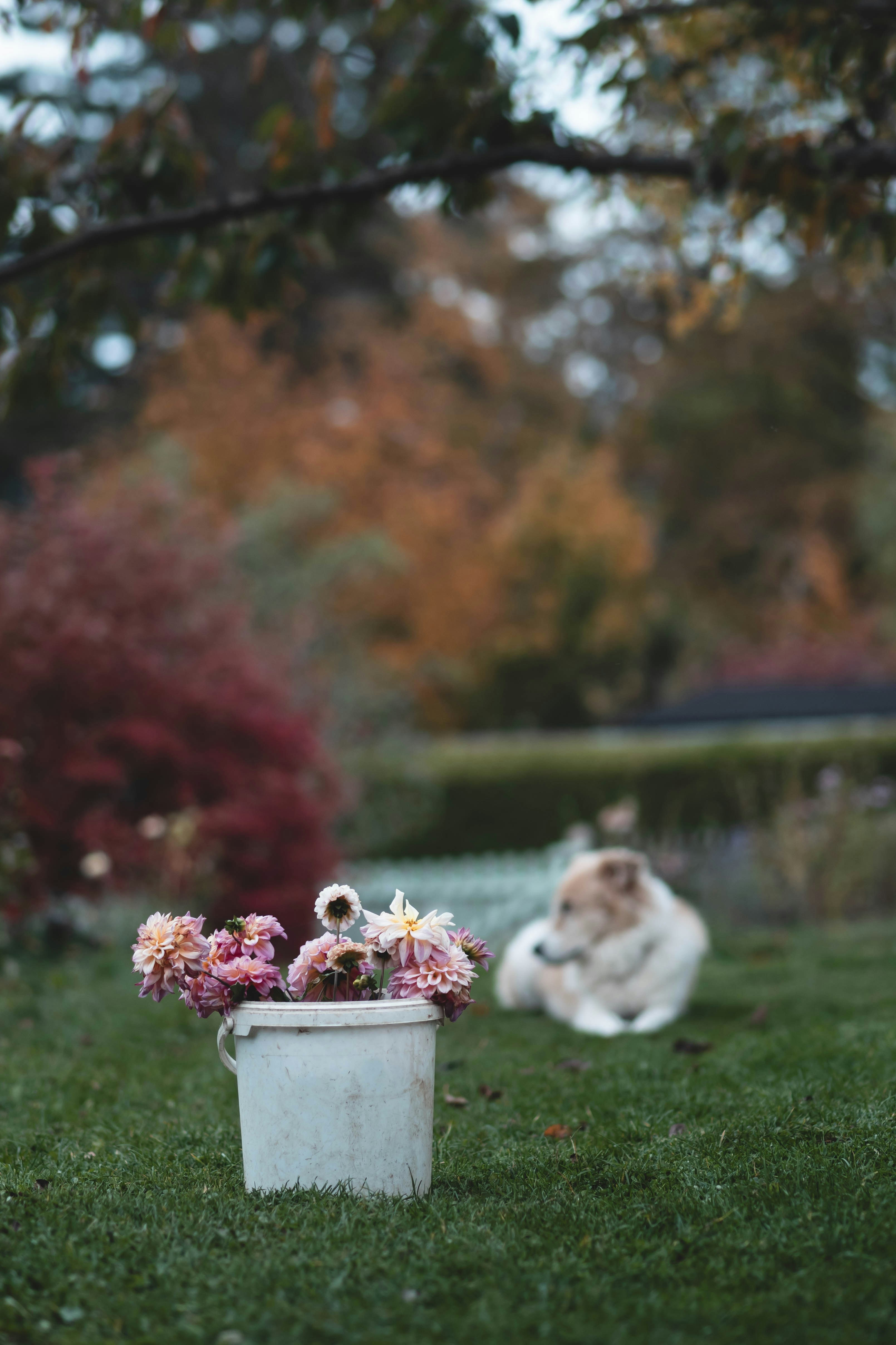 Photo by eileen_kummer