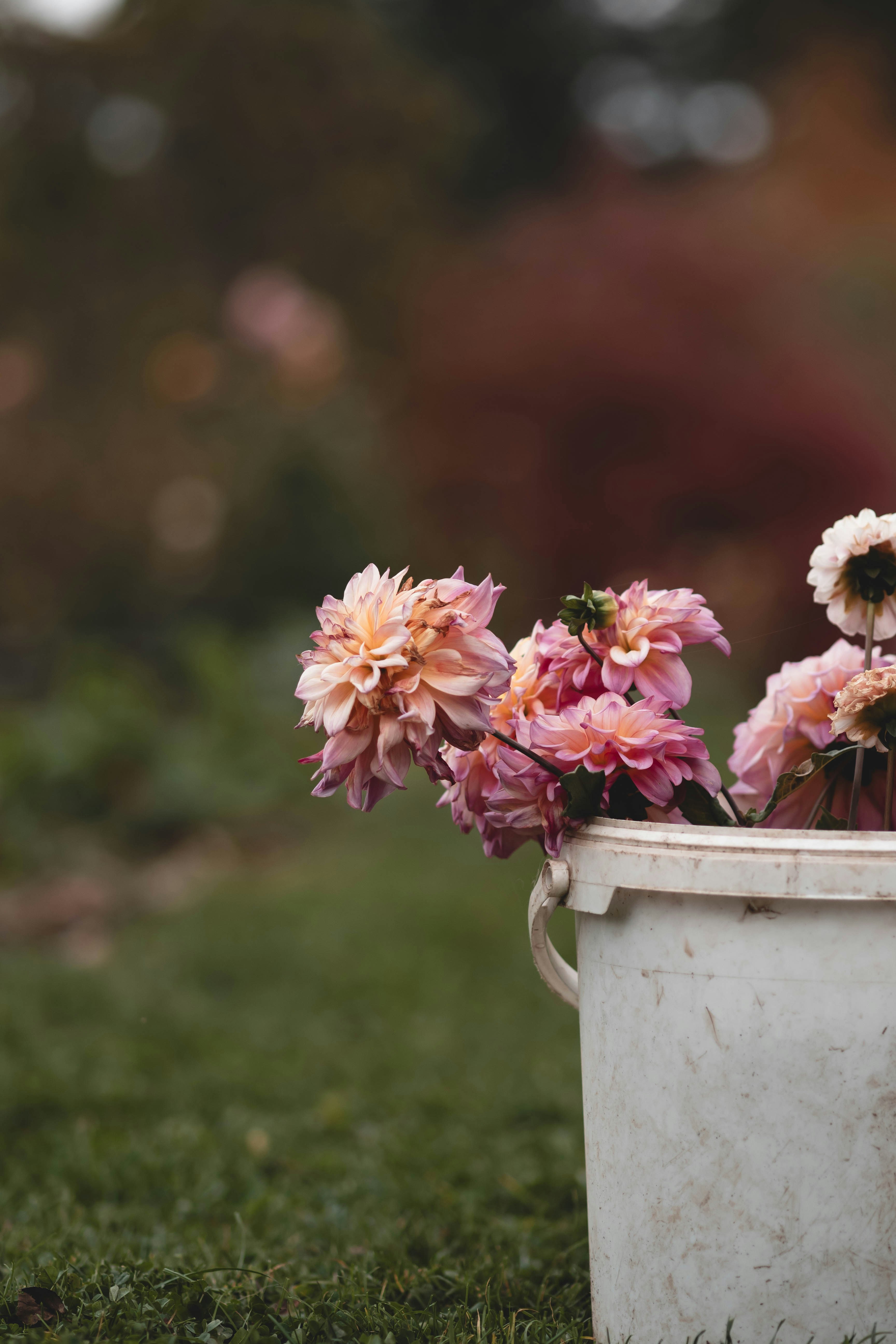 Photo by eileen_kummer