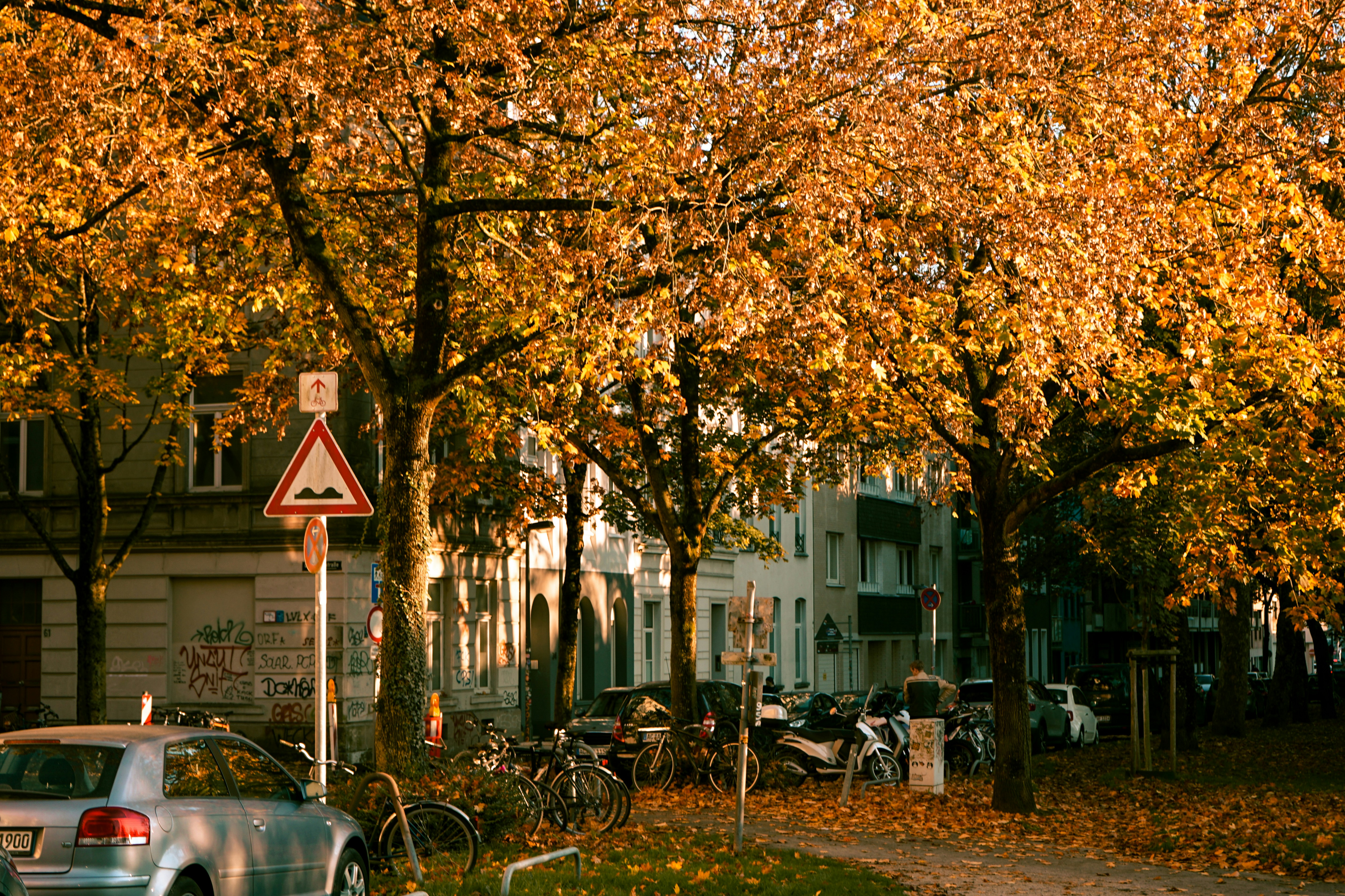 Photo by oyutjargalsaikhan