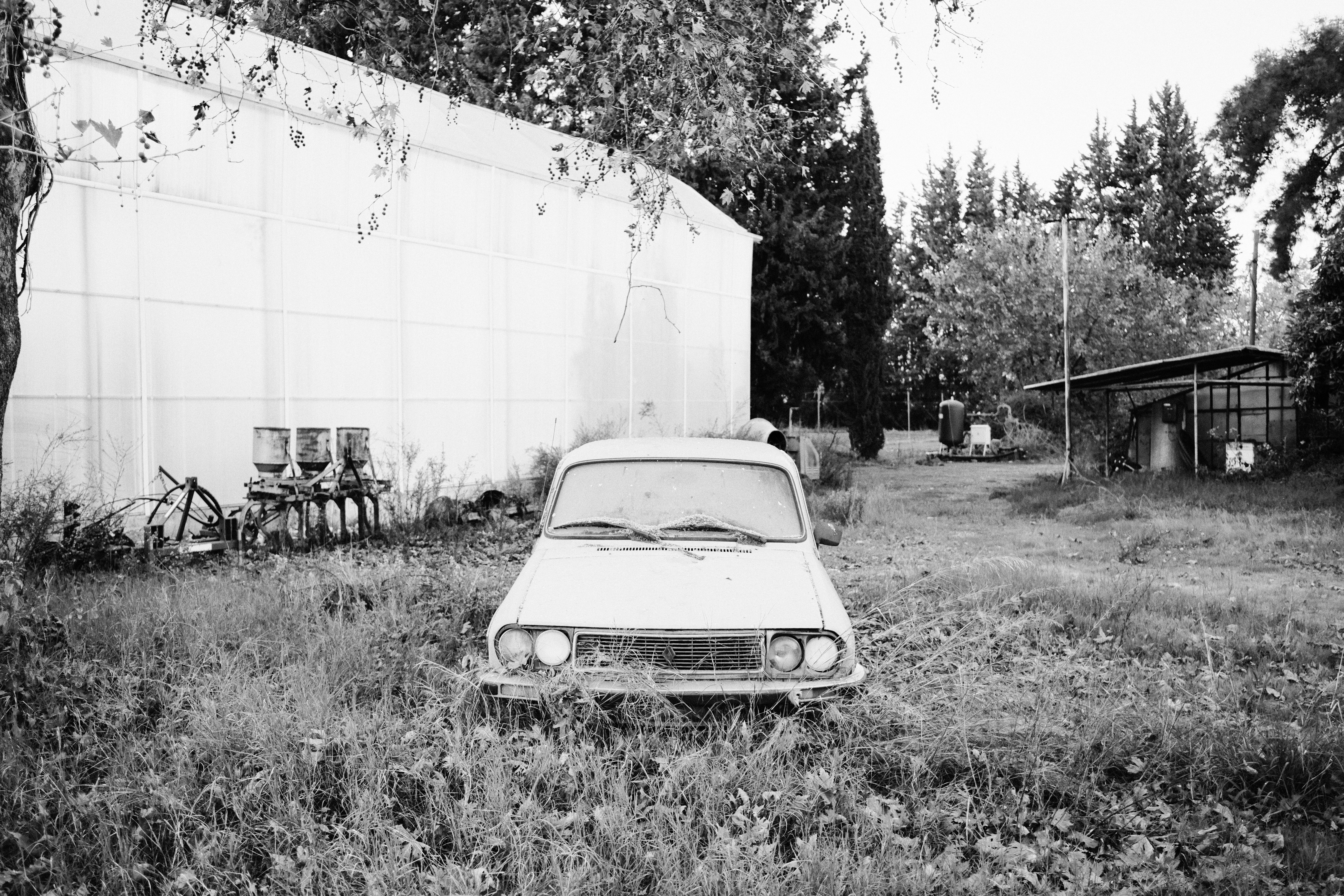 Photo by gencsanatkultur