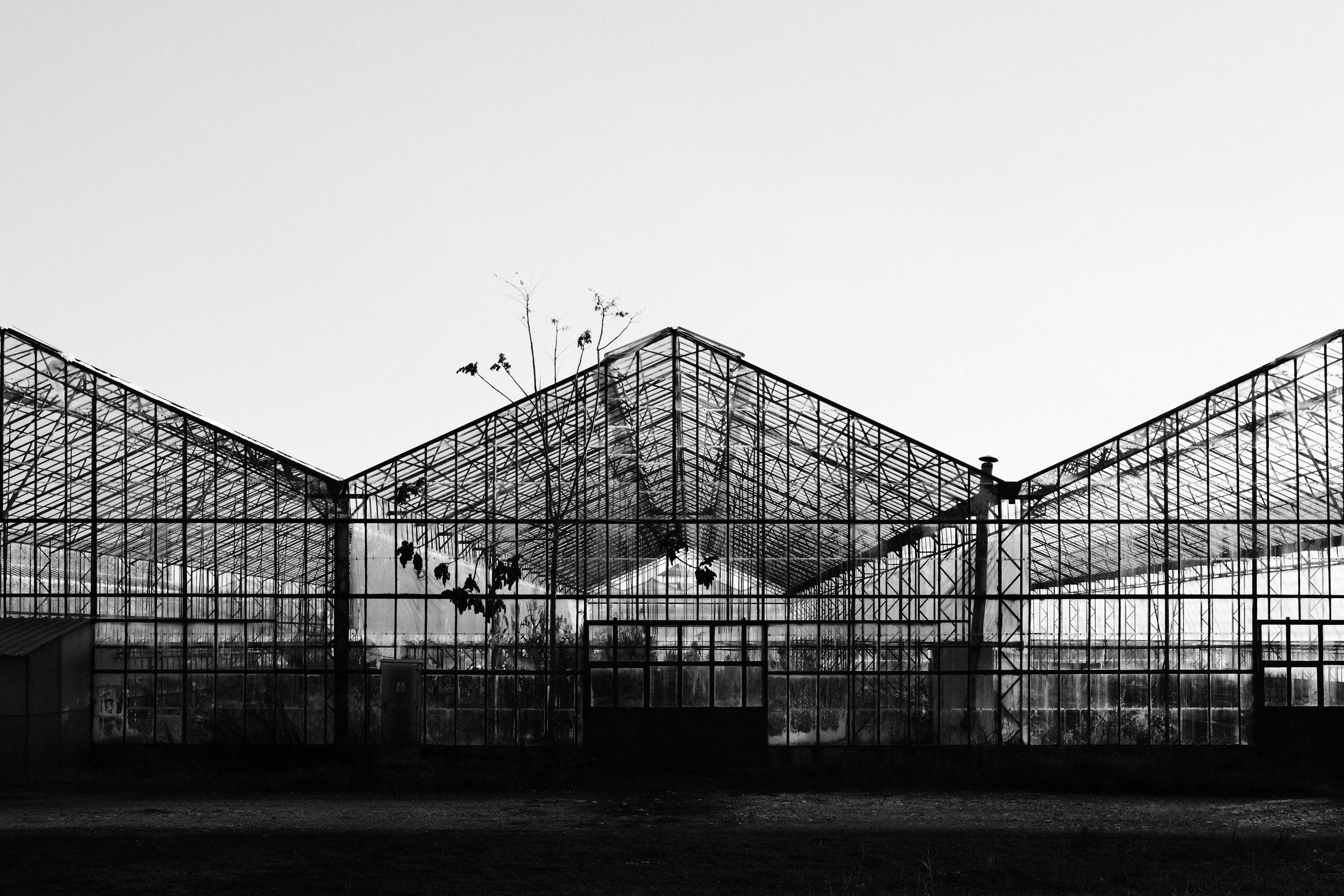 Photo by gencsanatkultur