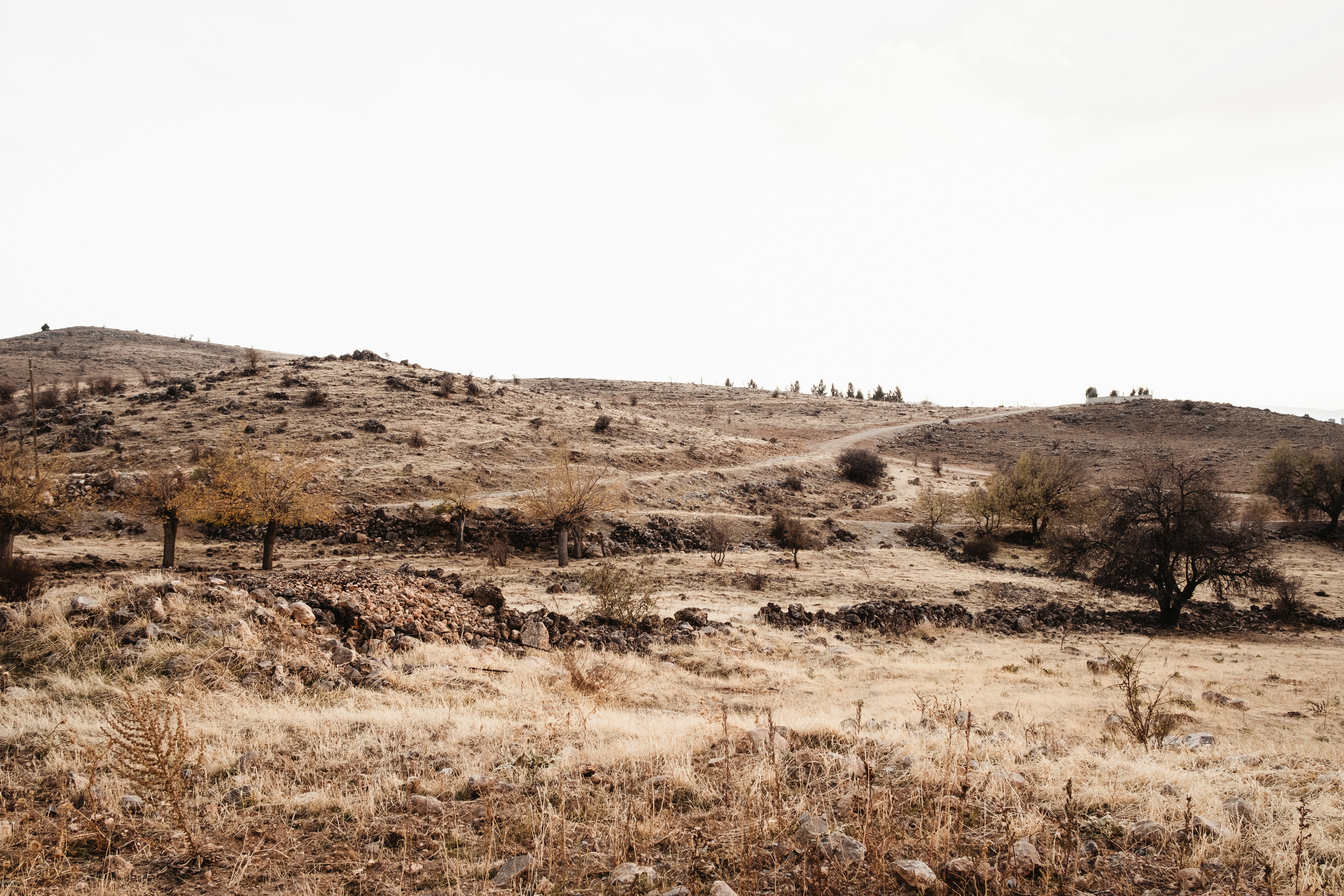 Photo by gencsanatkultur