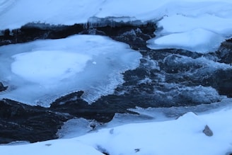 A stream running through a snow covered forest