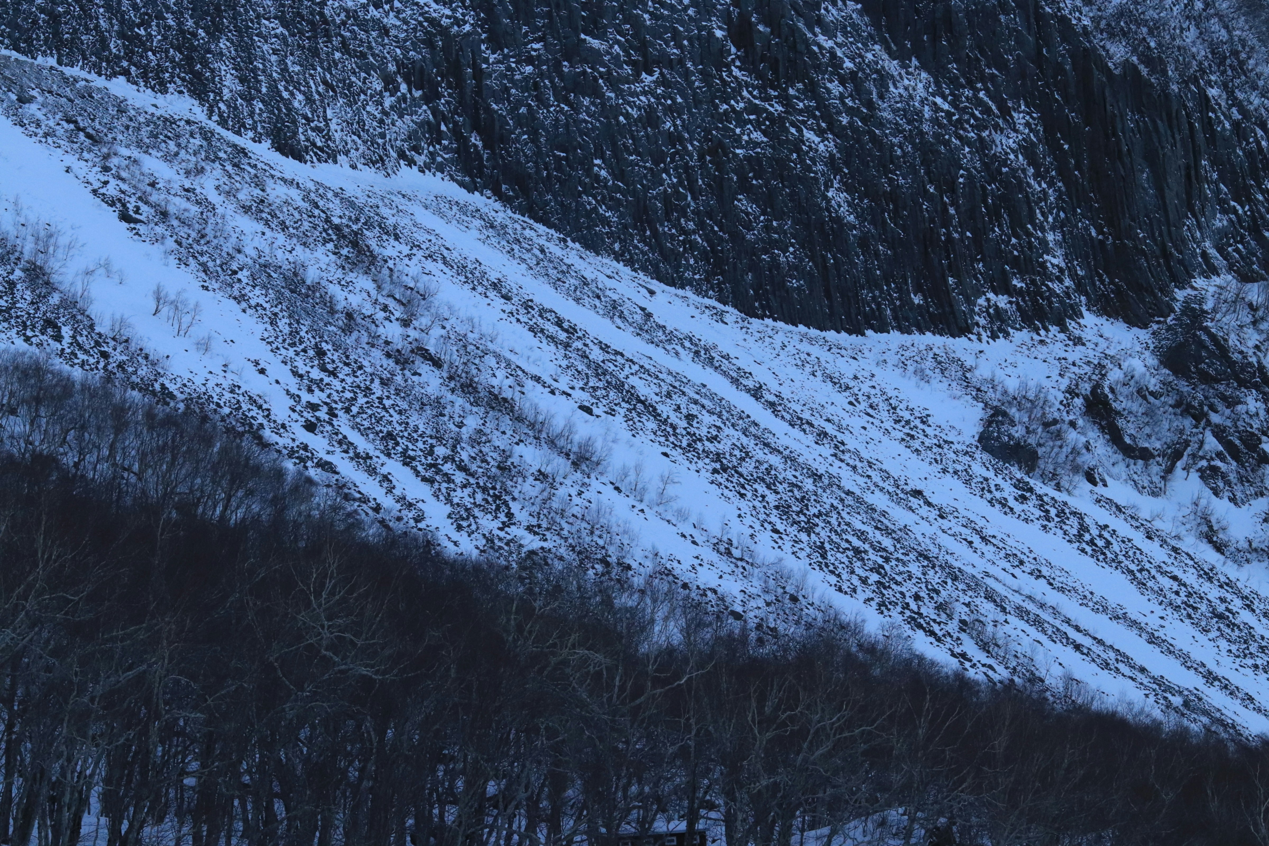 Photo by liuxuedi