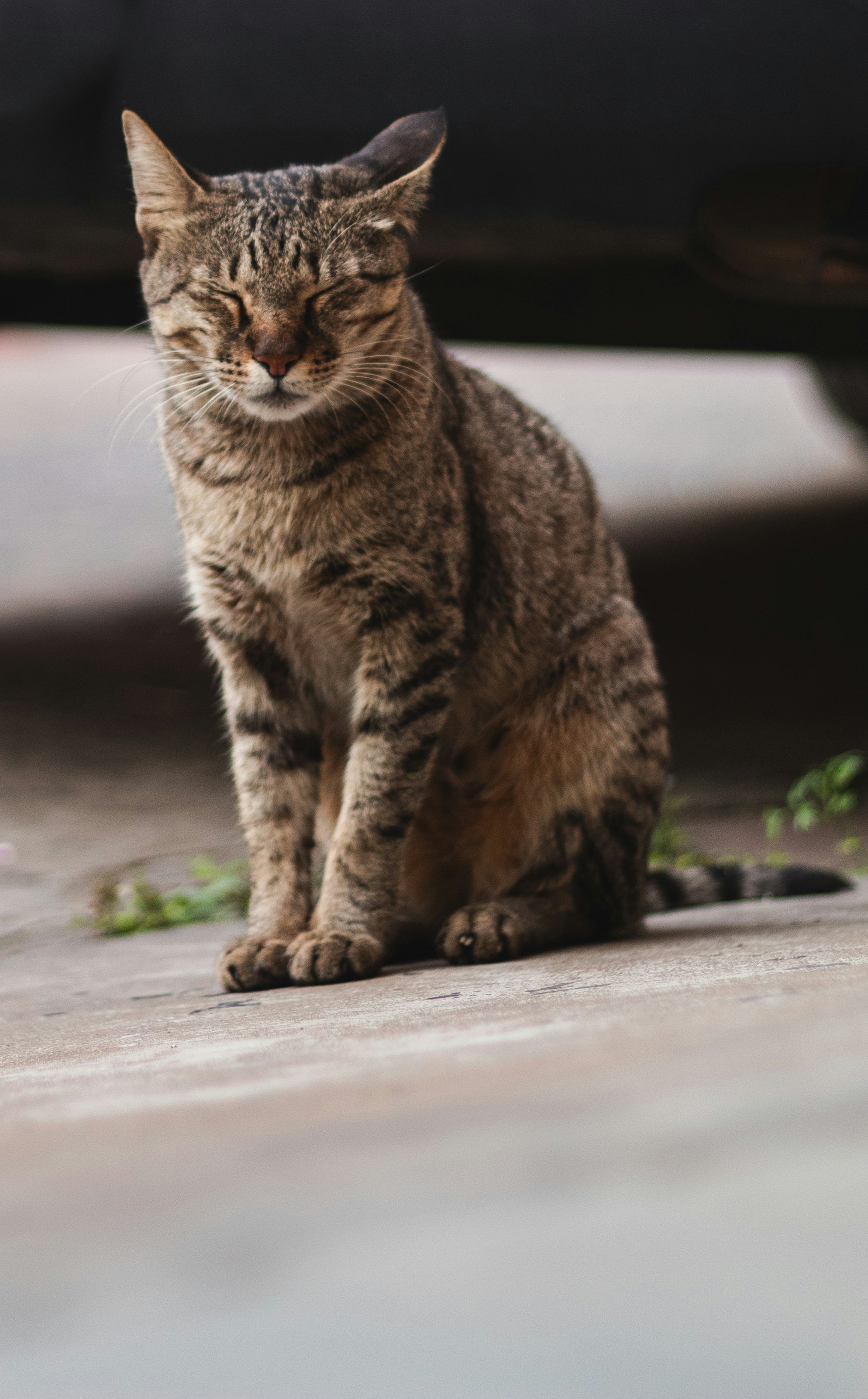 Photo by lakshya2001