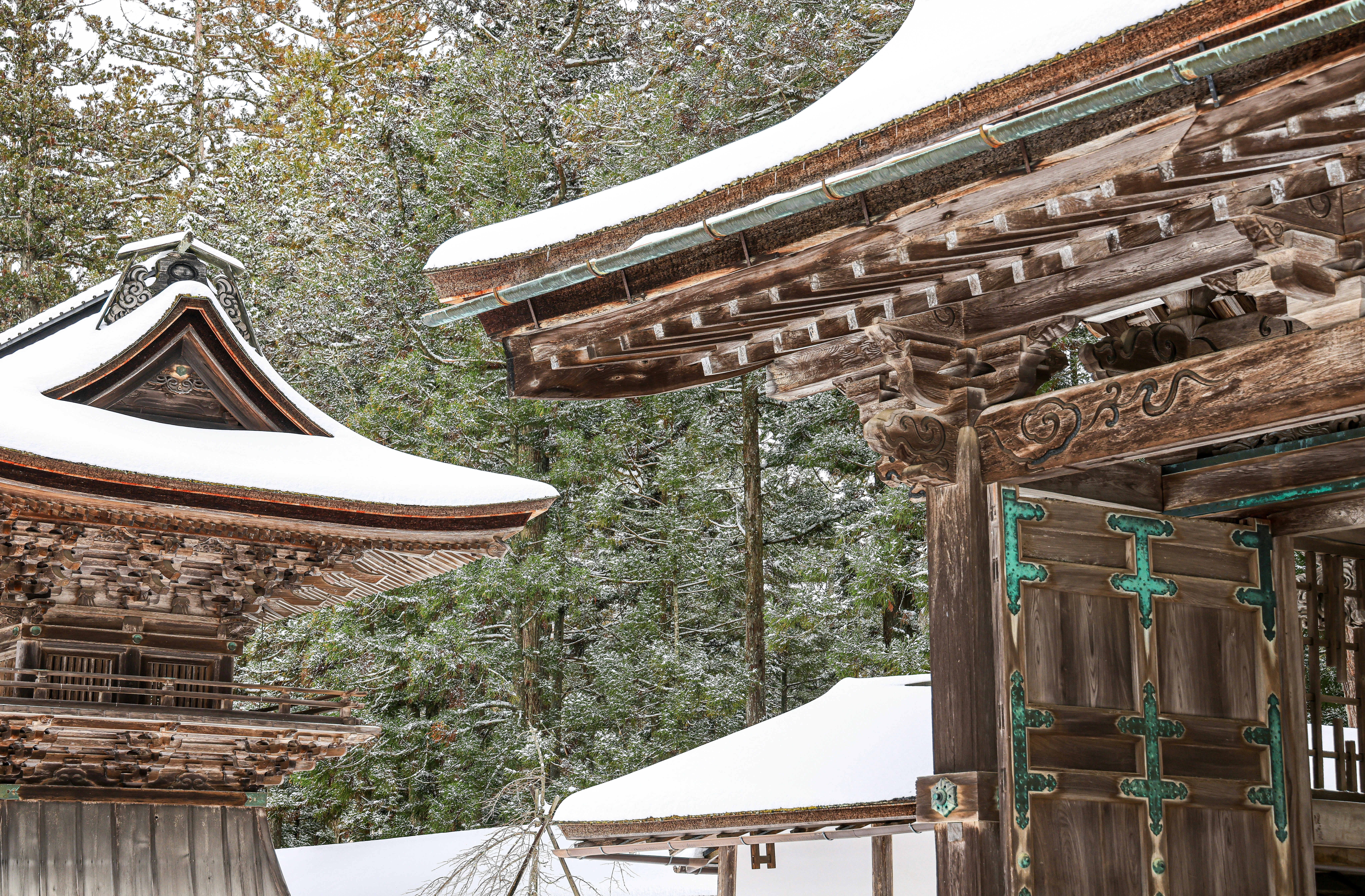 Photo by maximilian_brand