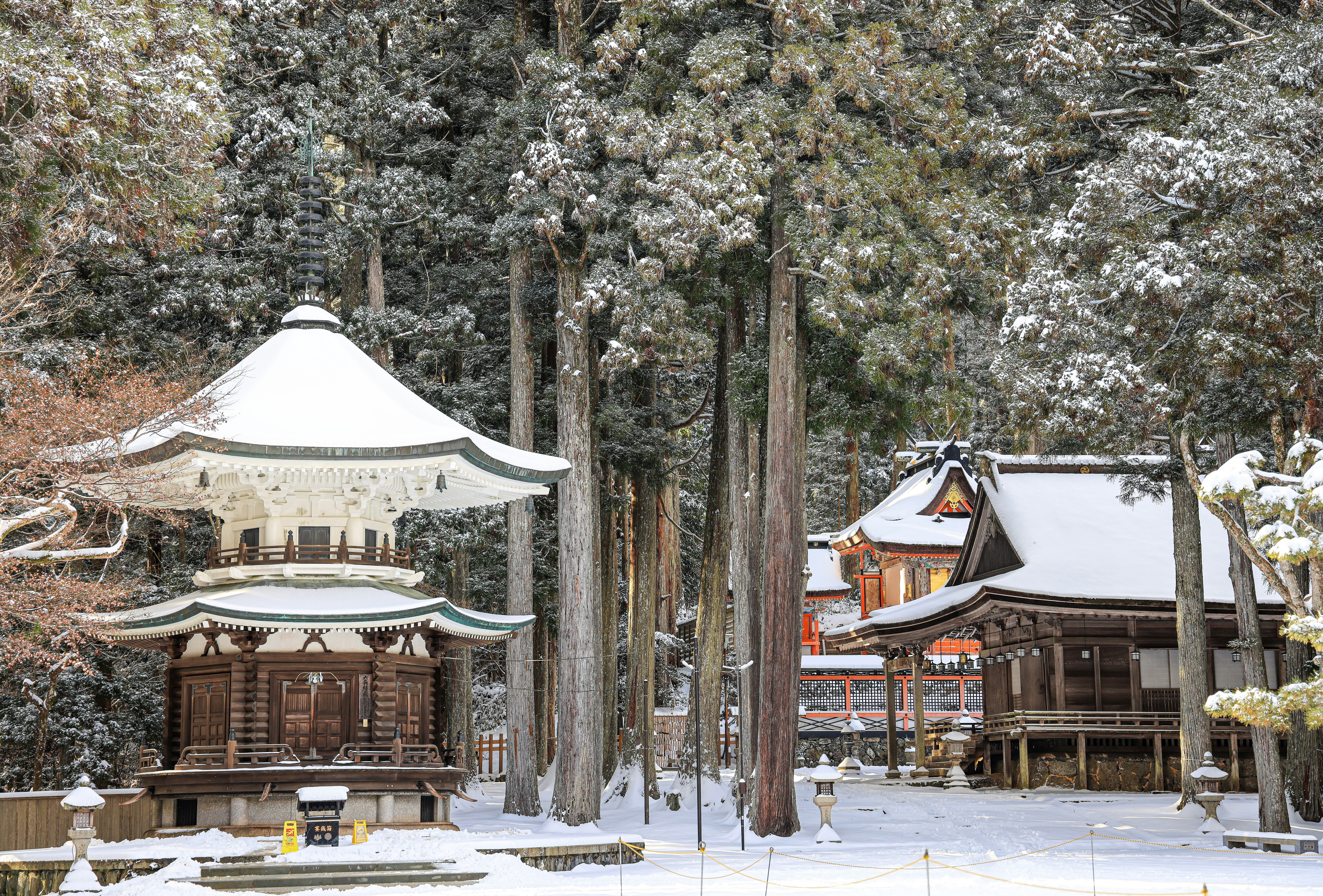 Photo by maximilian_brand