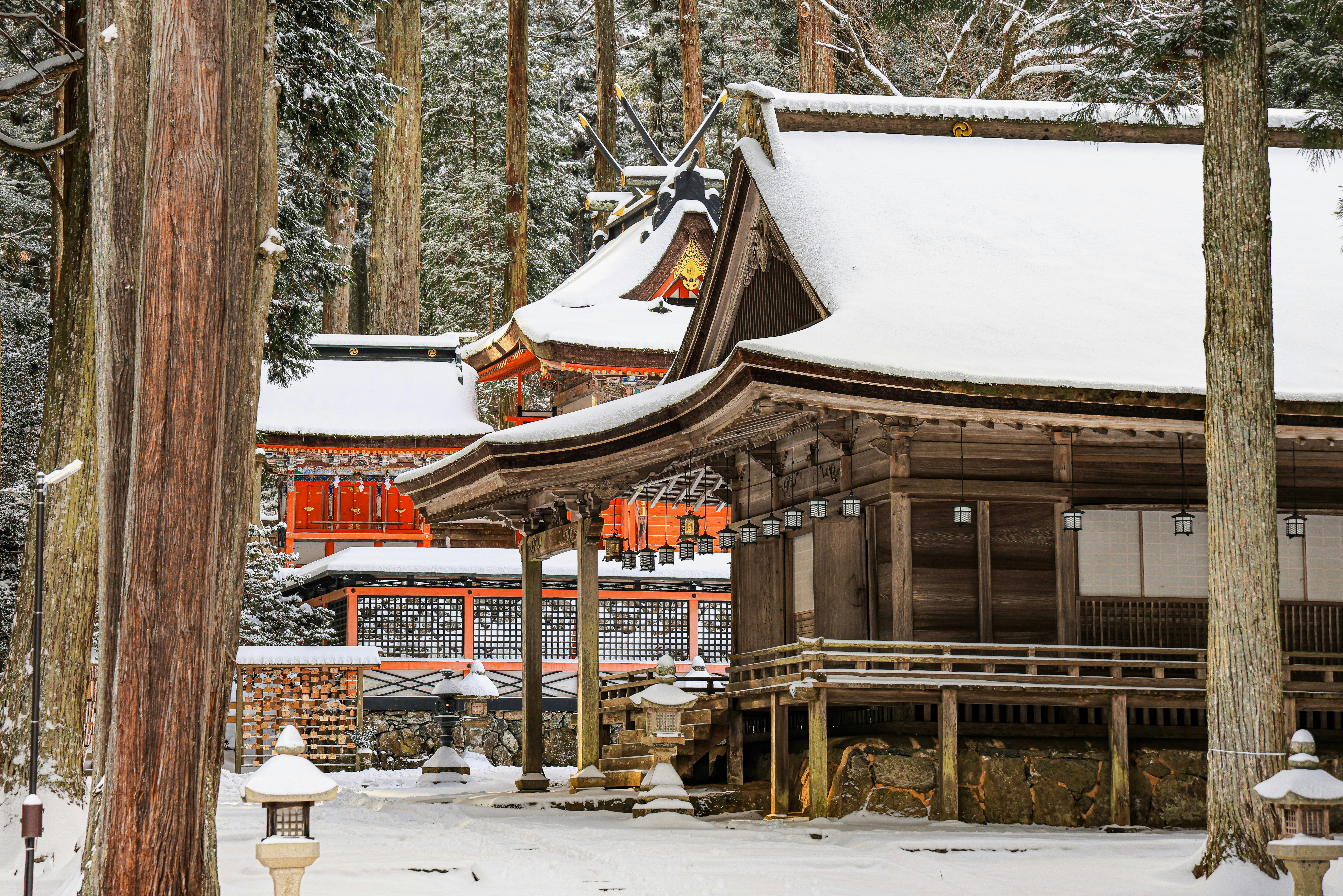 Photo by maximilian_brand