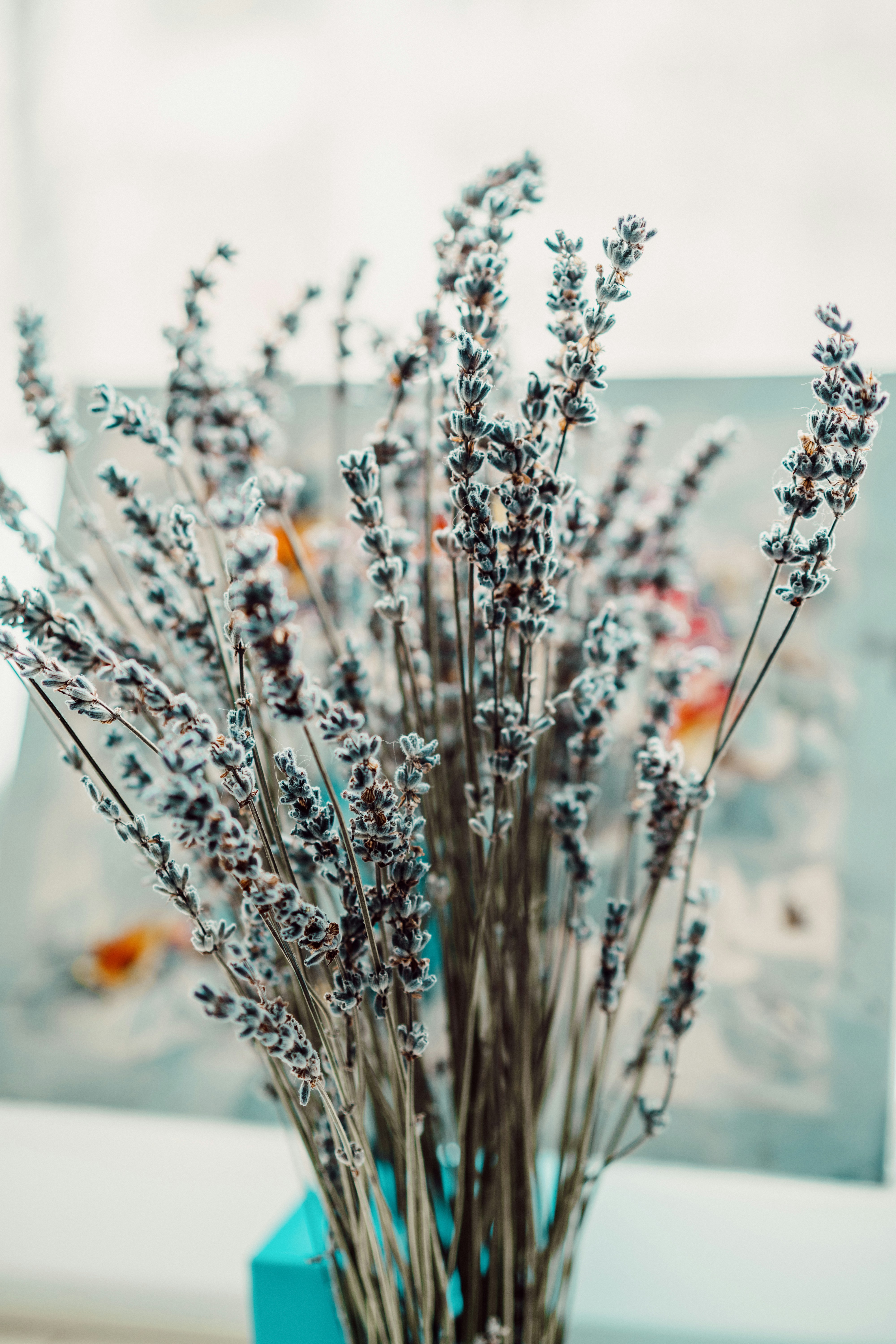 Photo by anamnesis33