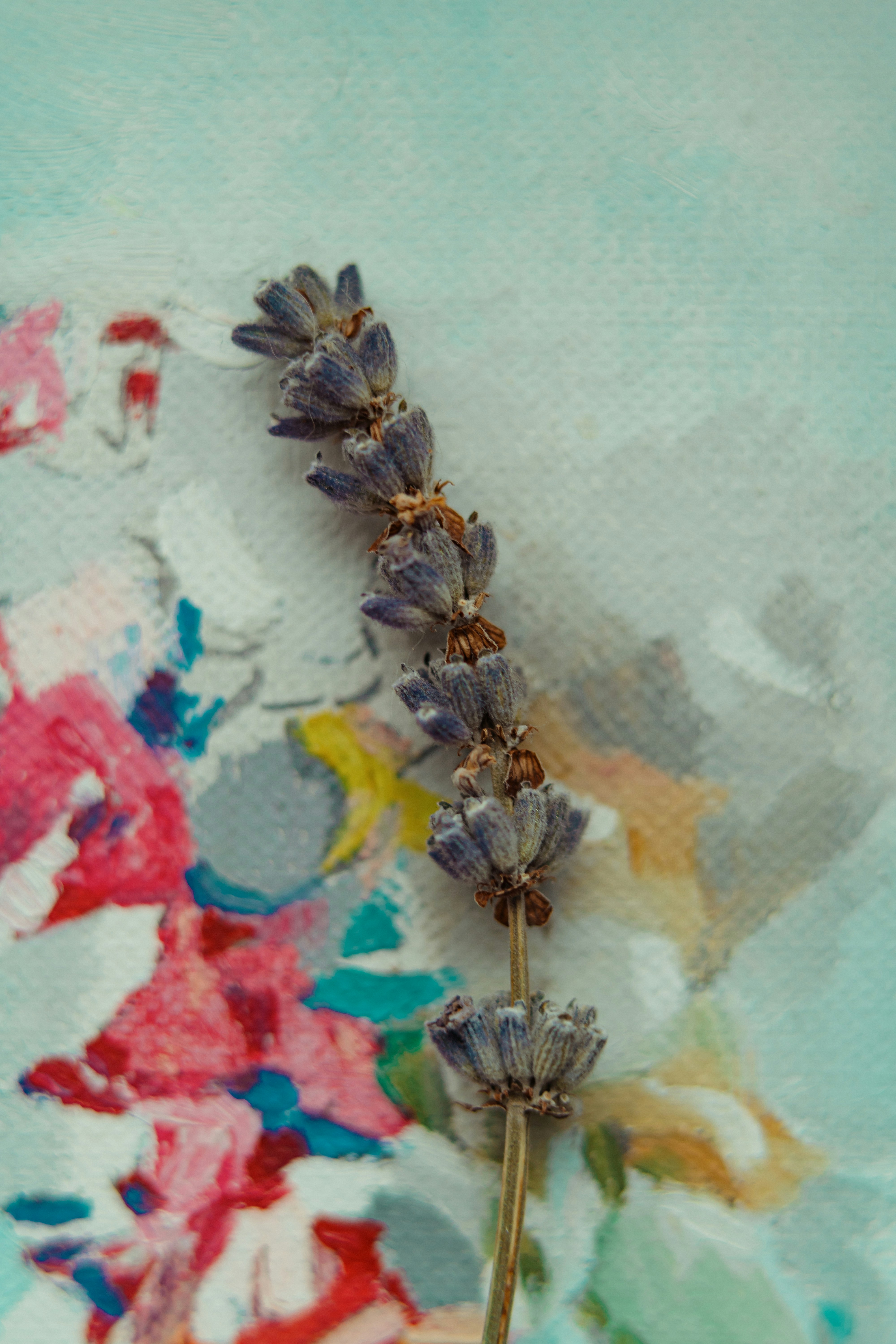 Photo by anamnesis33