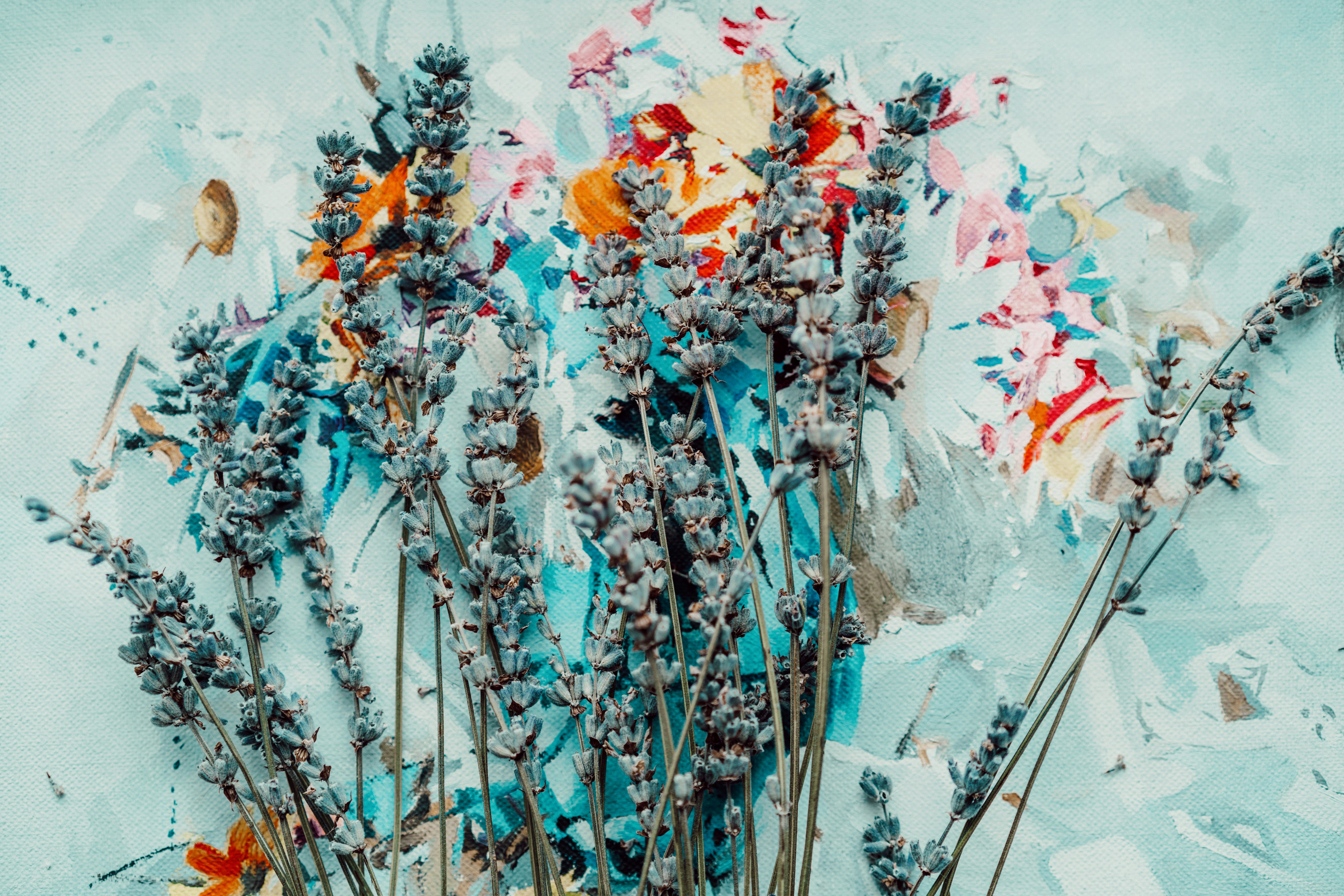 Photo by anamnesis33