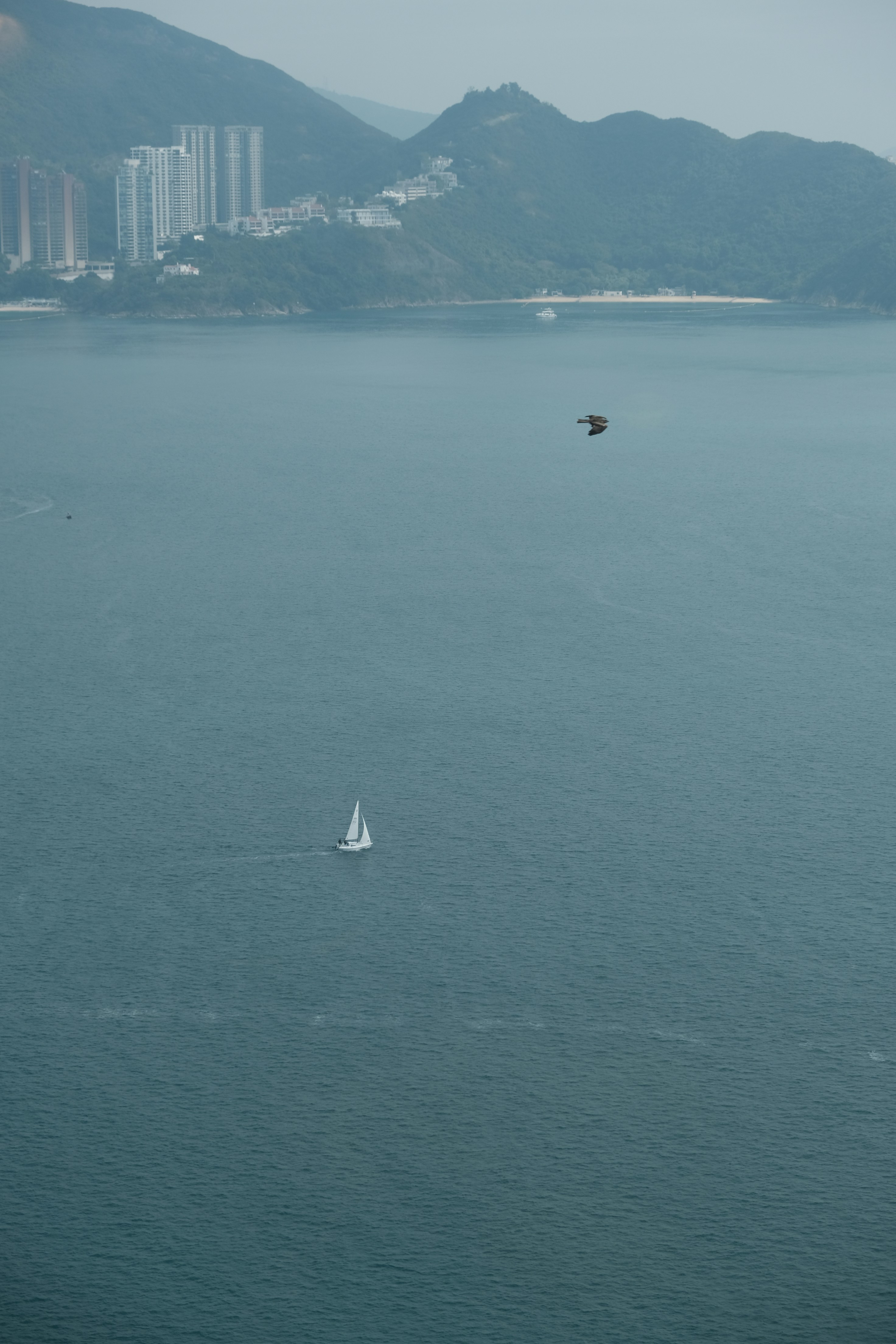 五、相关资源与联系方式